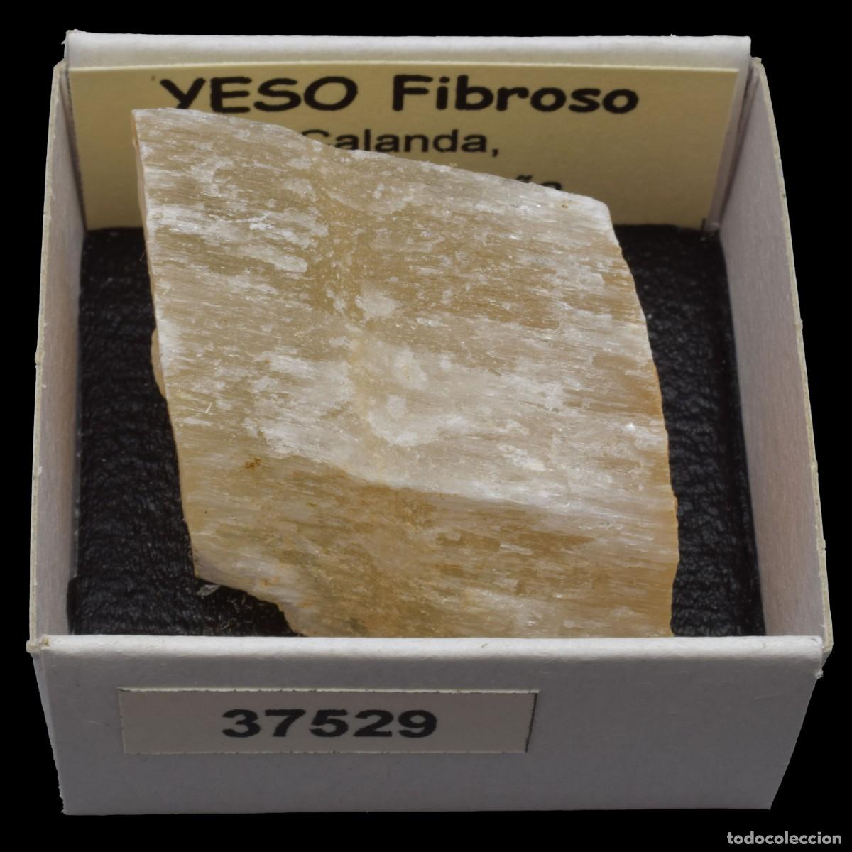 Coleccionismo de minerales: YESO Fibroso (Calanda, Teruel, Espa&ntilde;a) #37529