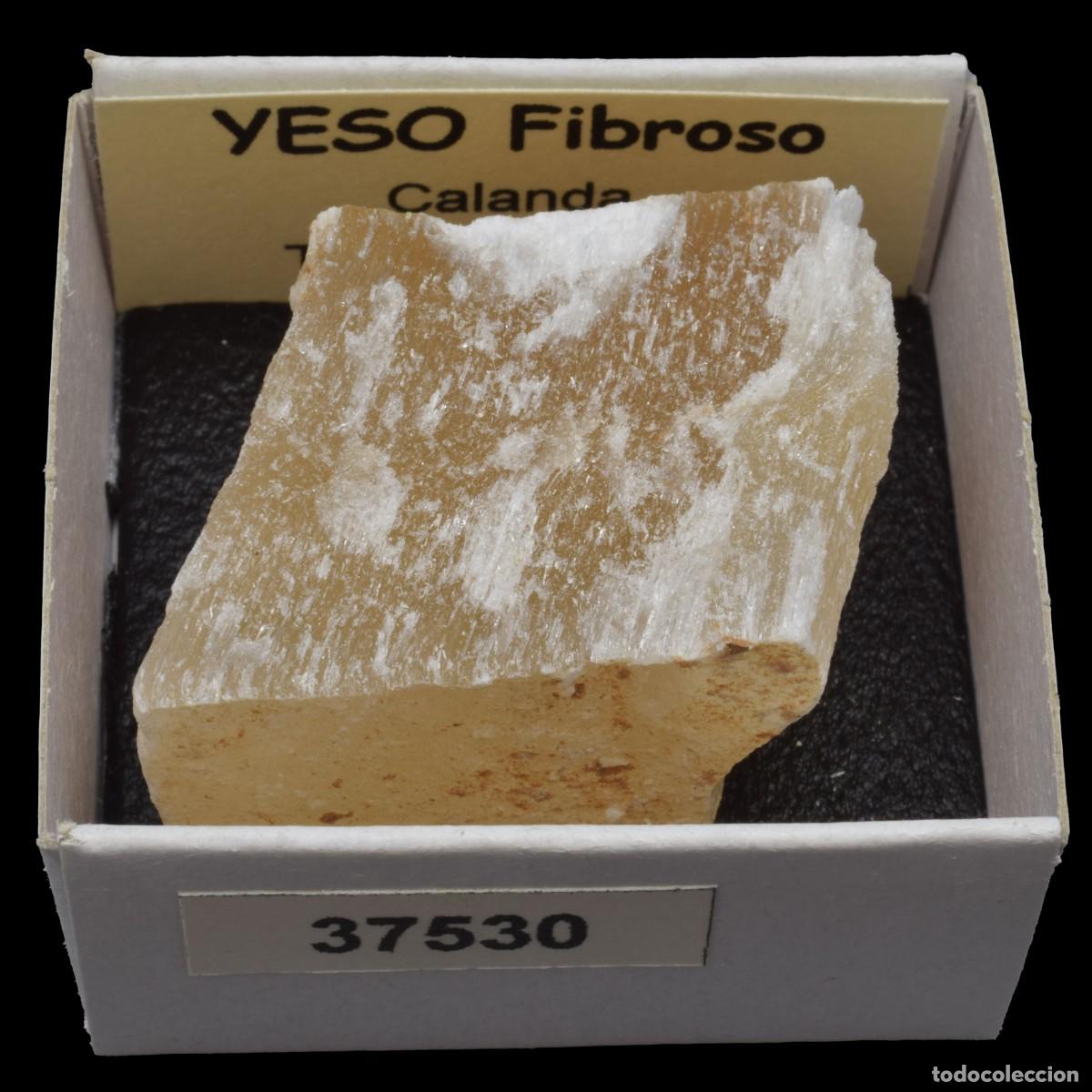 Coleccionismo de minerales: YESO Fibroso (Calanda, Teruel, Espa&ntilde;a) #37530