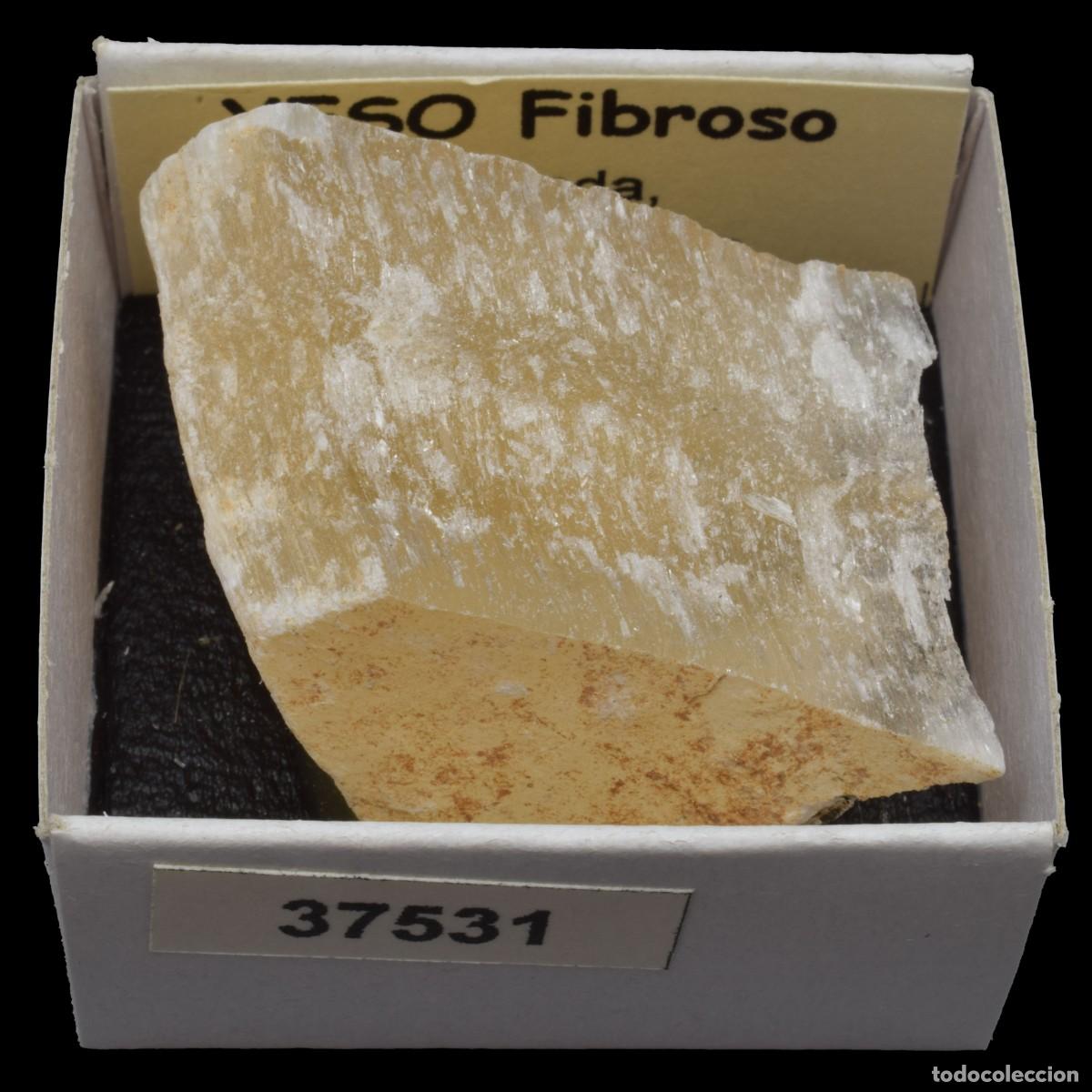 Coleccionismo de minerales: YESO Fibroso (Calanda, Teruel, Espa&ntilde;a) #37531