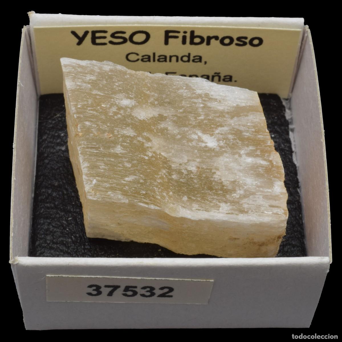 Coleccionismo de minerales: YESO Fibroso (Calanda, Teruel, Espa&ntilde;a) #37532