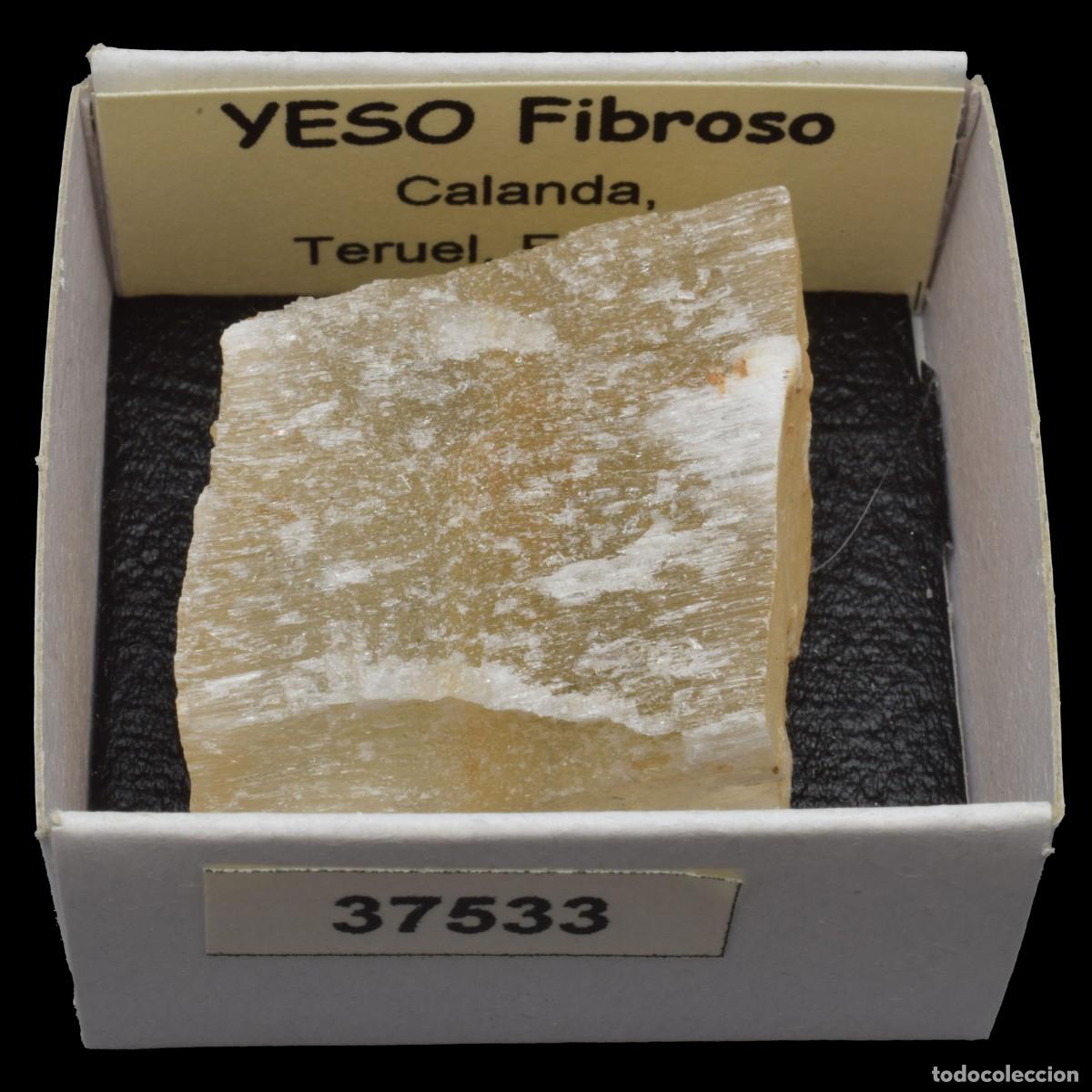 Coleccionismo de minerales: YESO Fibroso (Calanda, Teruel, Espa&ntilde;a) #37533