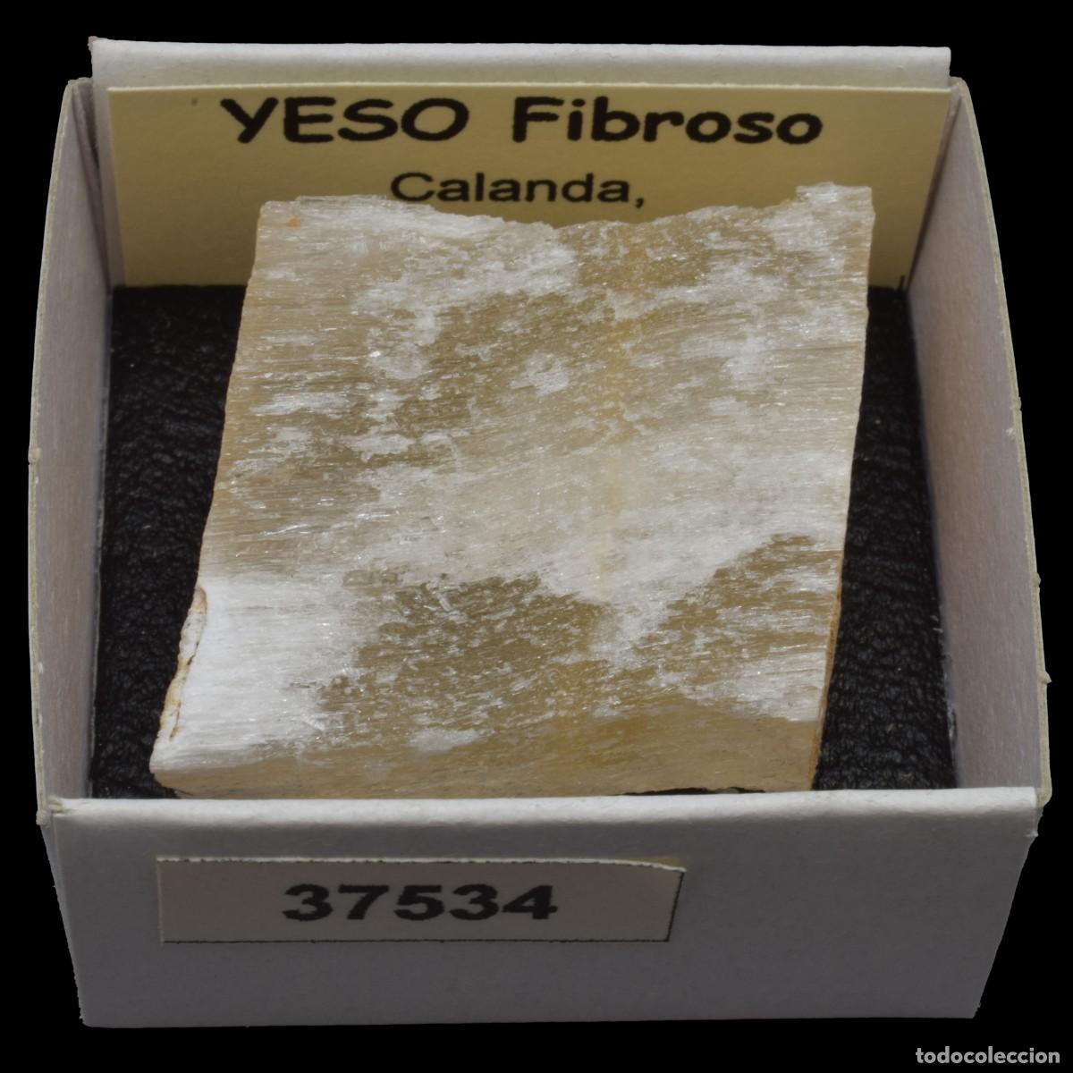 Coleccionismo de minerales: YESO Fibroso (Calanda, Teruel, Espa&ntilde;a) #37534