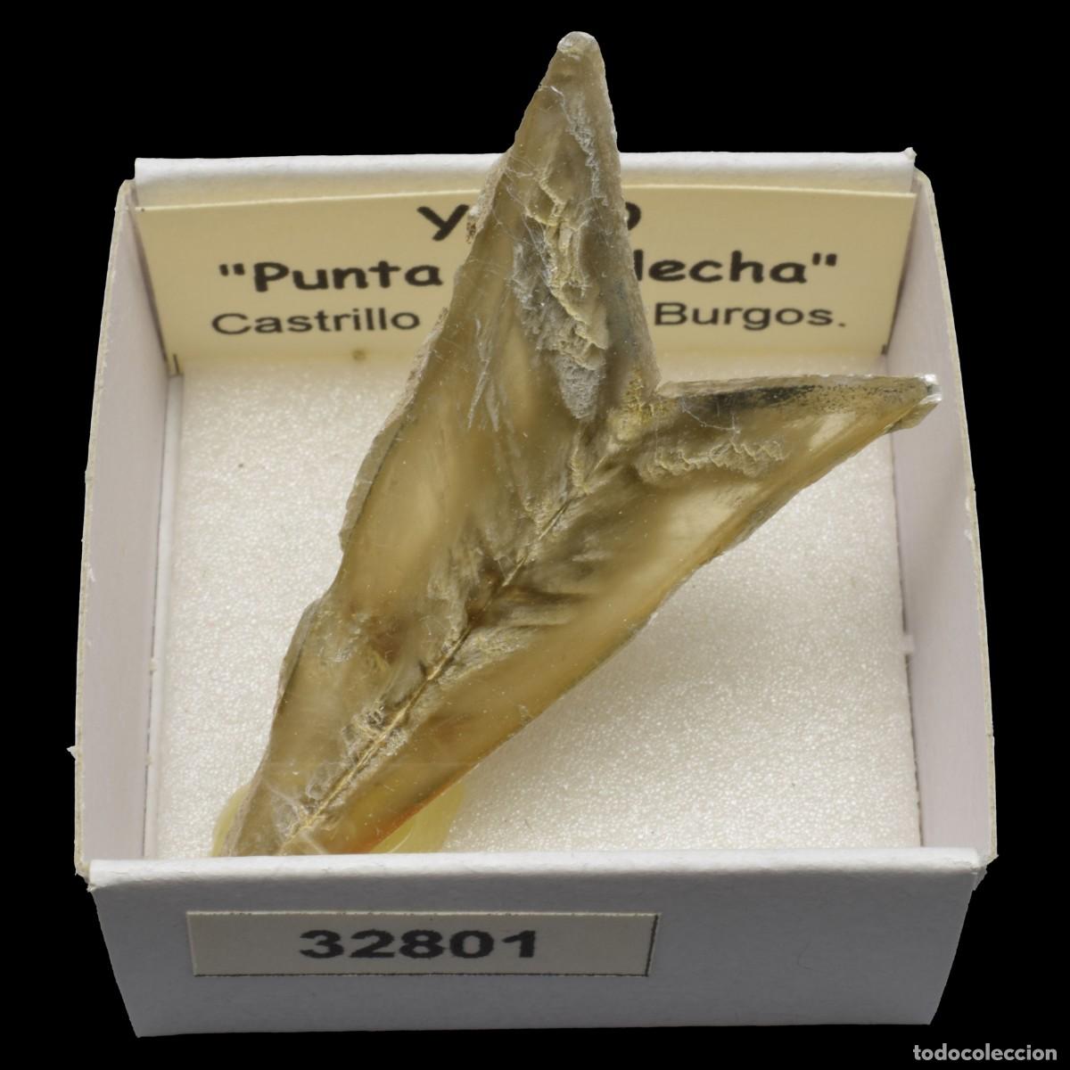 Coleccionismo de minerales: YESO Punta de flecha (Castrillo del Val, Burgos, Espa&ntilde;a) #32801