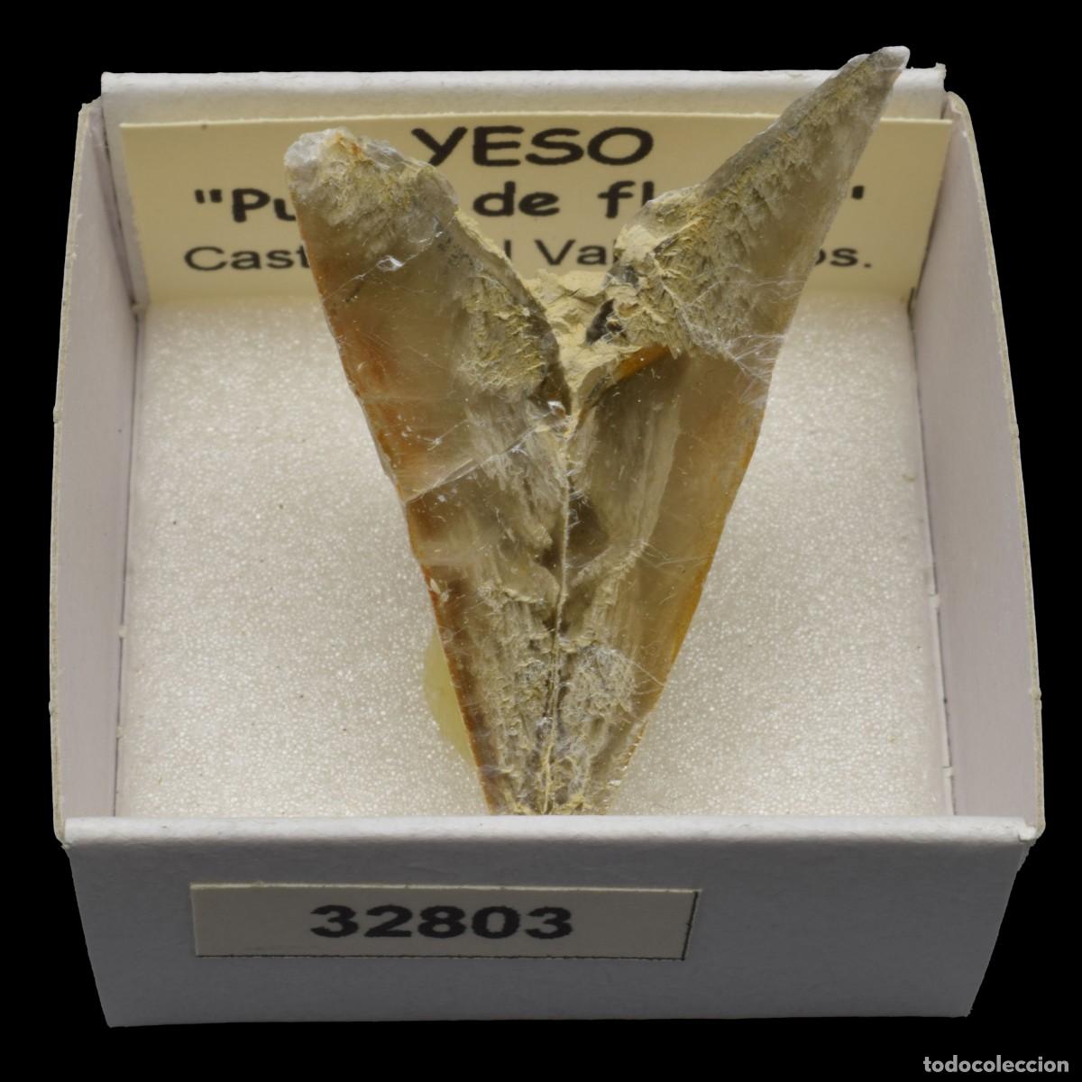 Coleccionismo de minerales: YESO Punta de flecha (Castrillo del Val, Burgos, Espa&ntilde;a) #32803