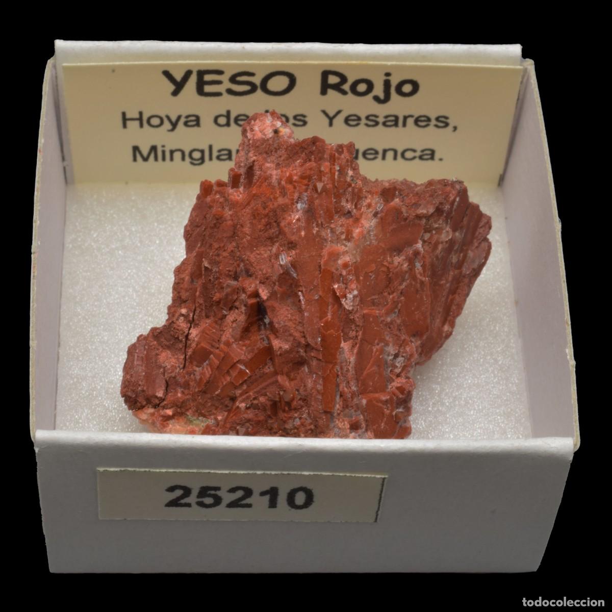 Coleccionismo de minerales: YESO Rojo (Hoya de los Yesares, Minglanilla, Espa&ntilde;a) #25210