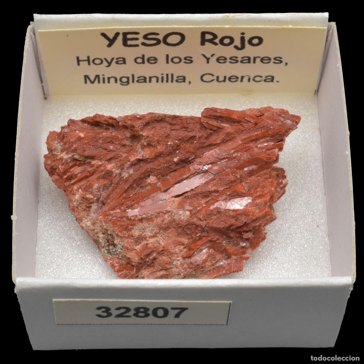 Coleccionismo de minerales: YESO Rojo (Hoya de los Yesares, Minglanilla, Espa&ntilde;a) #32807