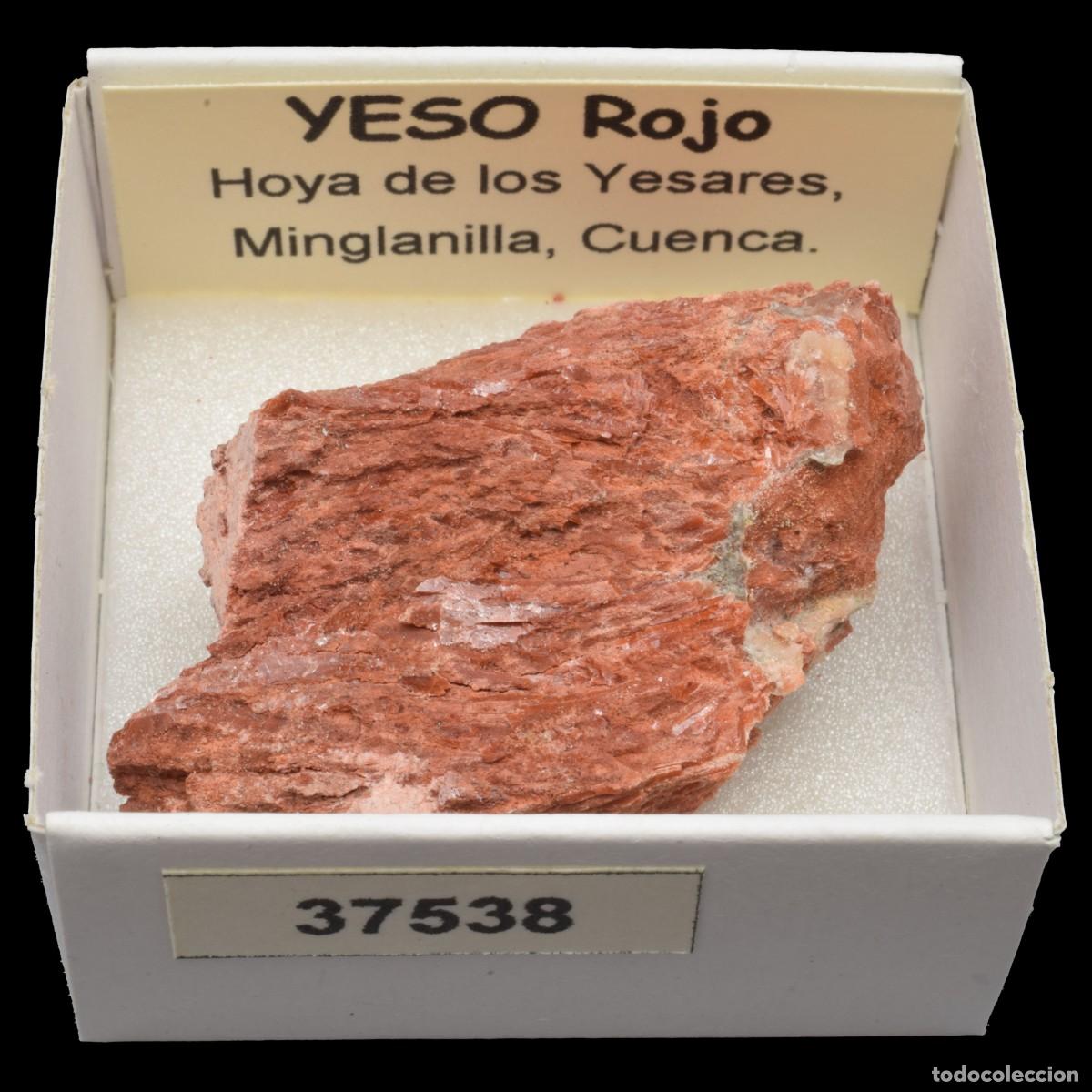 Coleccionismo de minerales: YESO Rojo (Hoya de los Yesares, Minglanilla, Espa&ntilde;a) #37538