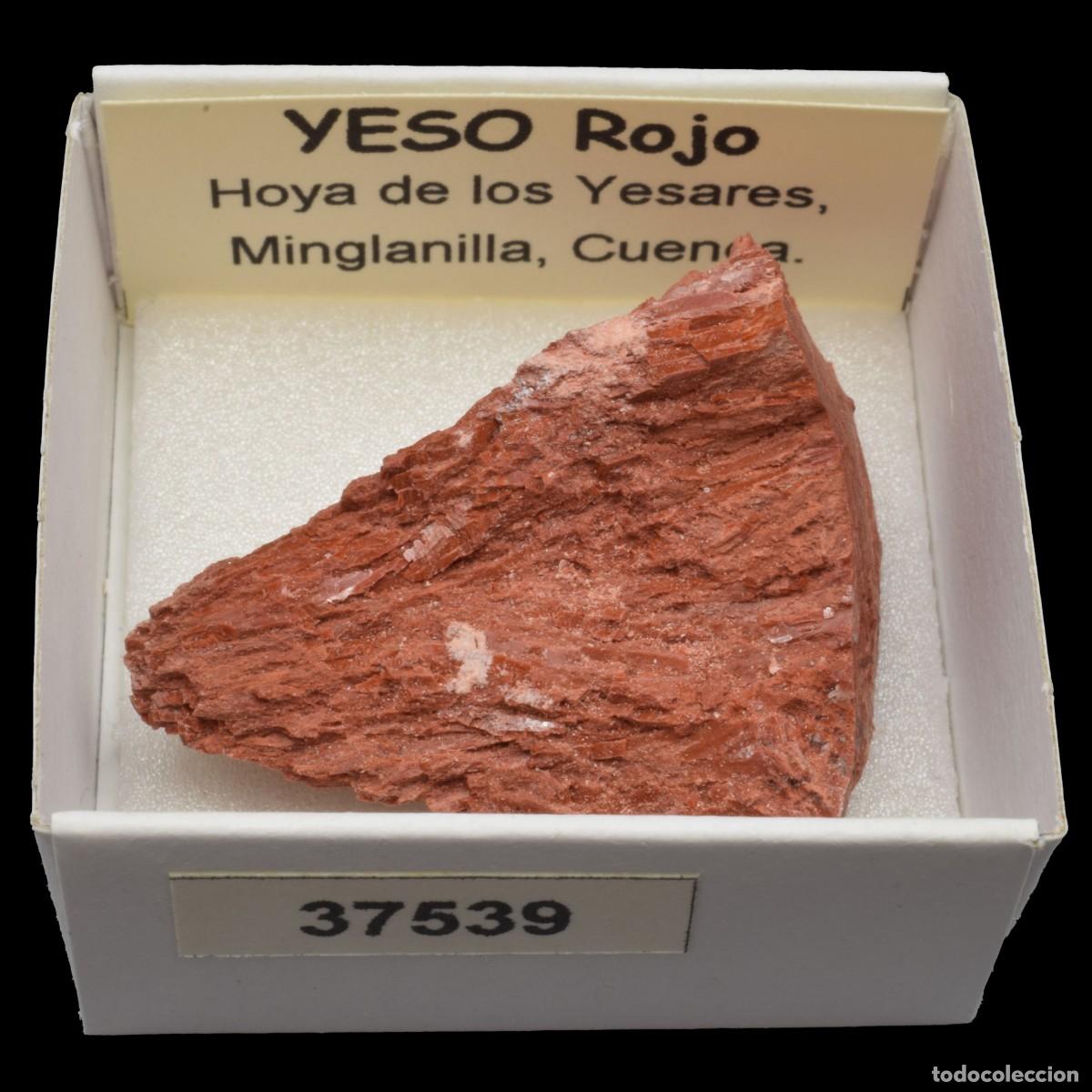 Coleccionismo de minerales: YESO Rojo (Hoya de los Yesares, Minglanilla, Espa&ntilde;a) #37539