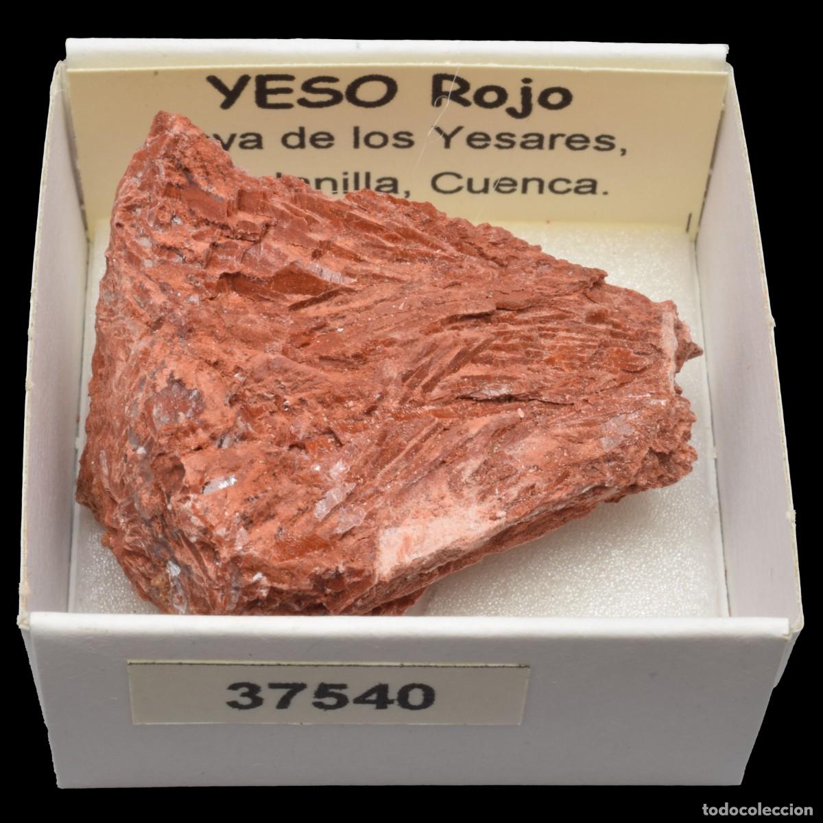 Coleccionismo de minerales: YESO Rojo (Hoya de los Yesares, Minglanilla, Espa&ntilde;a) #37540