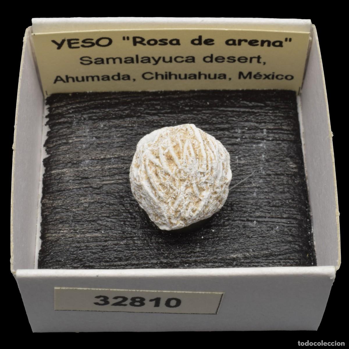 Coleccionismo de minerales: YESO &rdquo;Rosa de arena&rdquo; (Desierto de Samalayuca, Ahumada, Chihuahua, Mexico) #32810