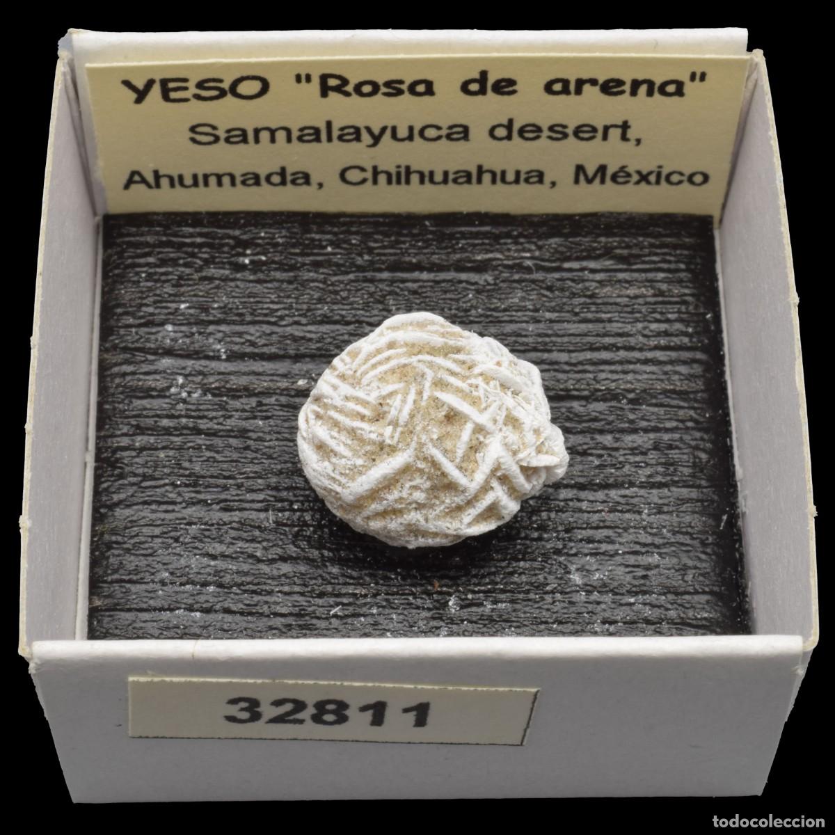 Coleccionismo de minerales: YESO &rdquo;Rosa de arena&rdquo; (Desierto de Samalayuca, Ahumada, Chihuahua, Mexico) #32811