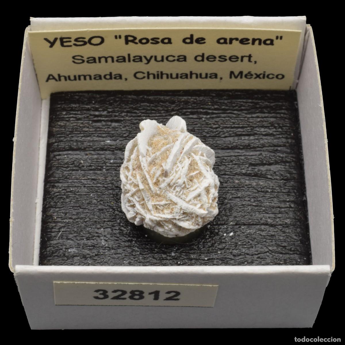 Collectionnisme de min&eacute;raux: YESO &rdquo;Rosa de arena&rdquo; (Desierto de Samalayuca, Ahumada, Chihuahua, Mexico) #32812