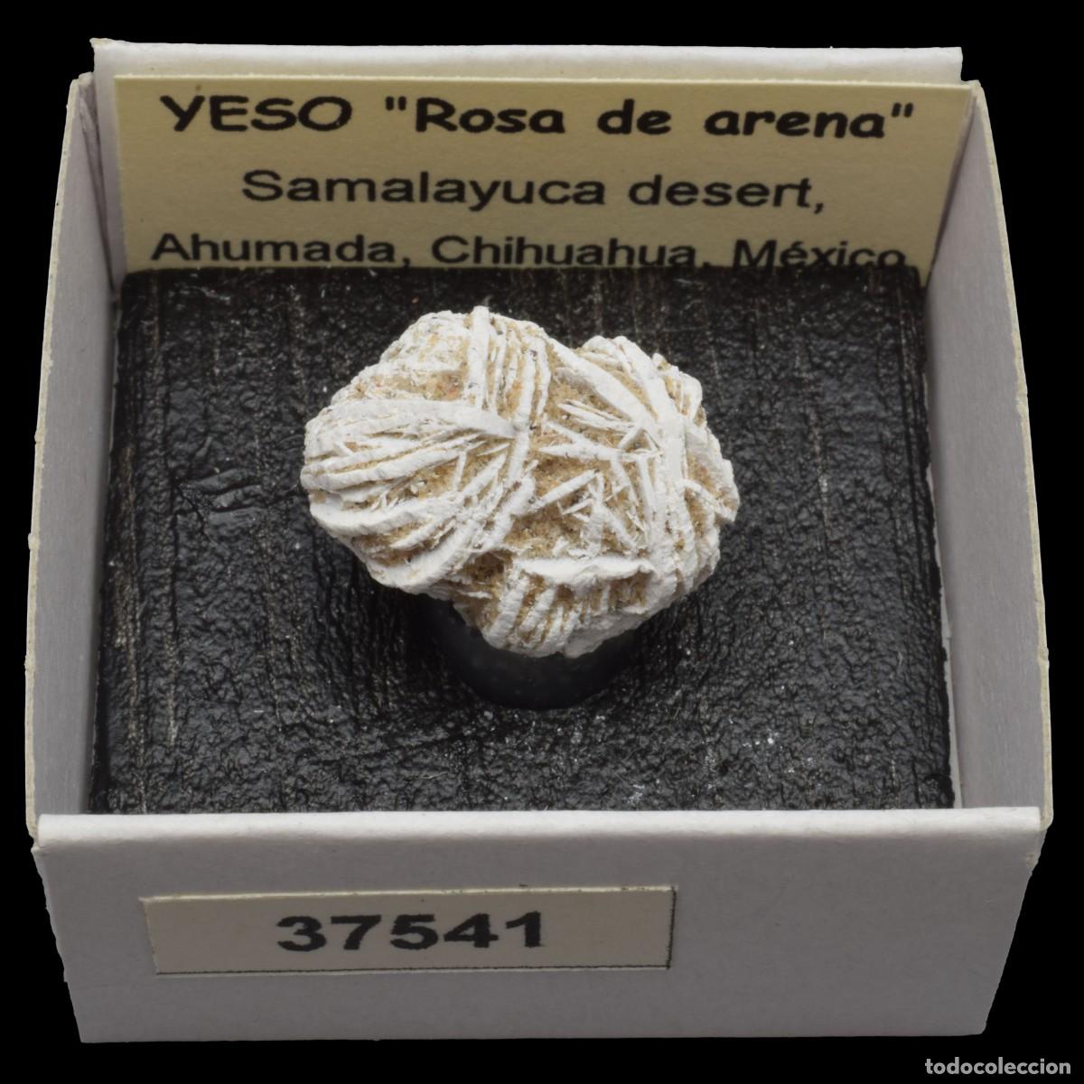 Collectionnisme de min&eacute;raux: YESO &rdquo;Rosa de arena&rdquo; (Desierto de Samalayuca, Ahumada, Chihuahua, Mexico) #37541