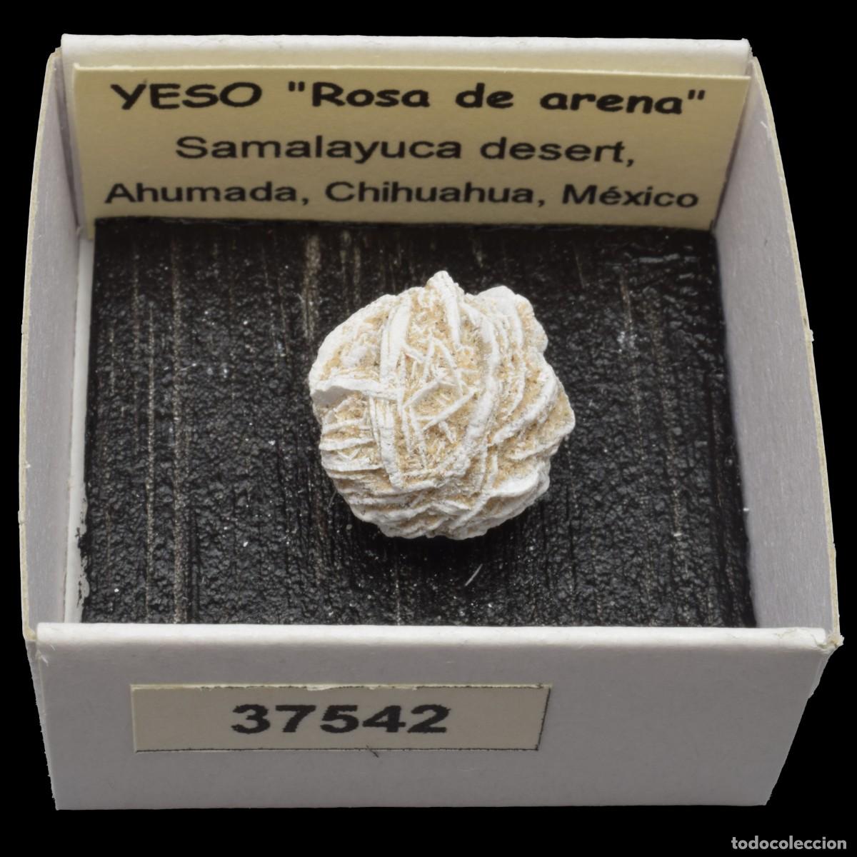 Collectionnisme de min&eacute;raux: YESO &rdquo;Rosa de arena&rdquo; (Desierto de Samalayuca, Ahumada, Chihuahua, Mexico) #37542