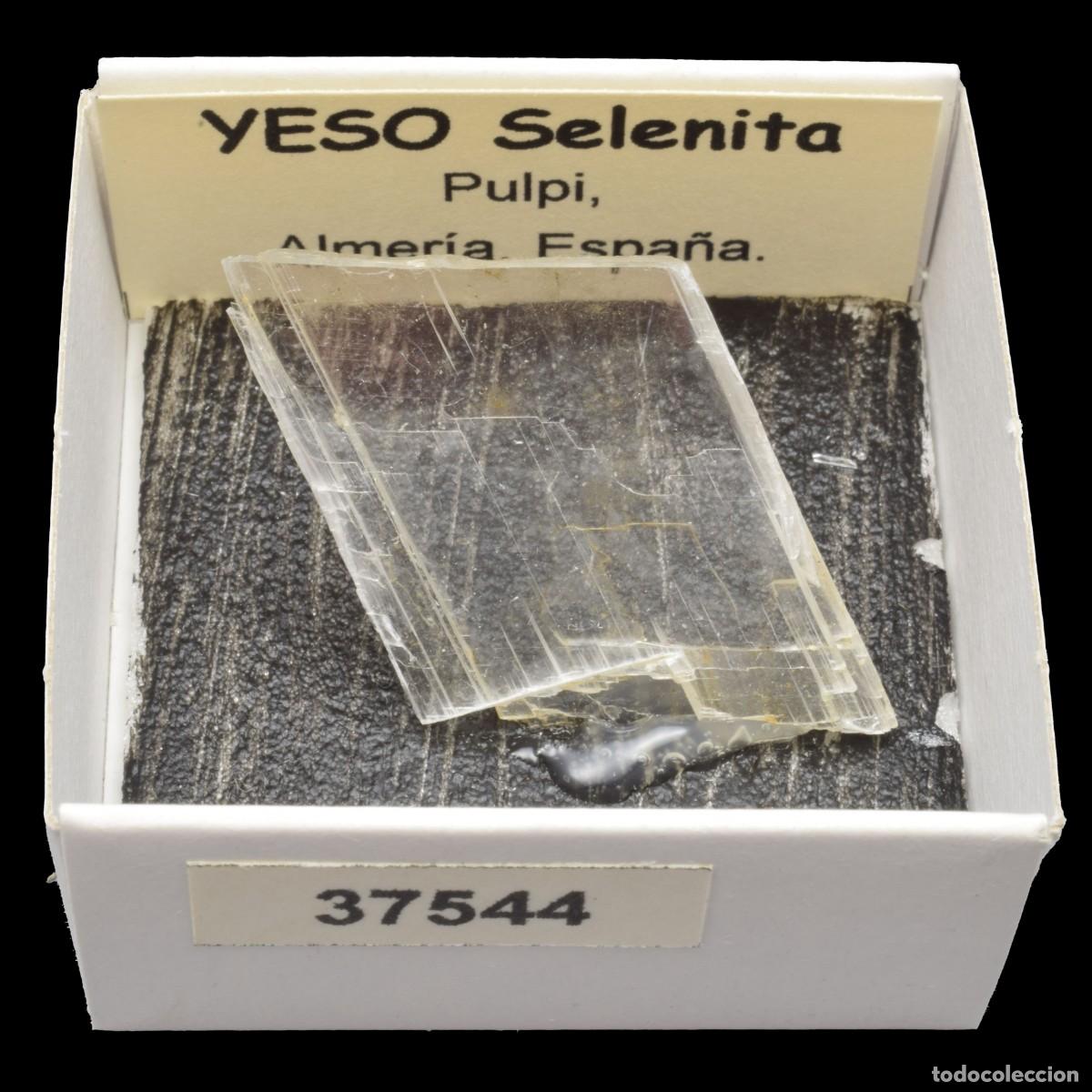 Colecionismo de minerais: YESO Selenita (Pulpi, Almeria, Espa&ntilde;a) #37544