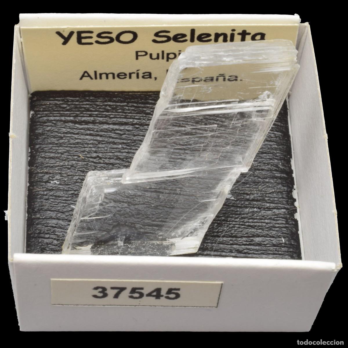 Colecionismo de minerais: YESO Selenita (Pulpi, Almeria, Espa&ntilde;a) #37545