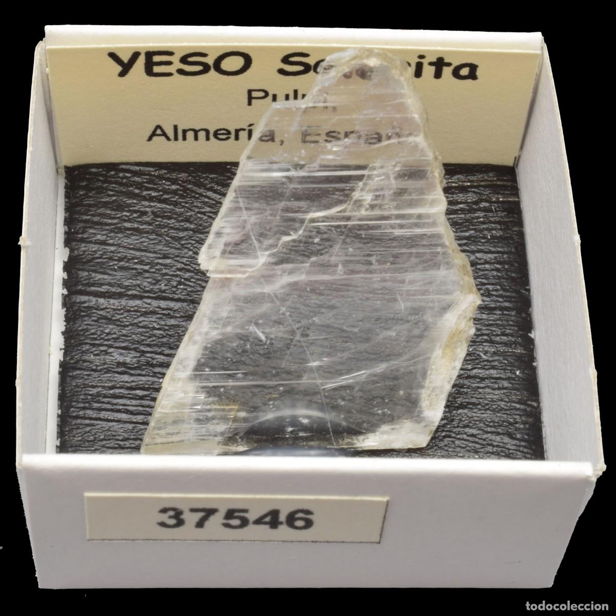 Colecionismo de minerais: YESO Selenita (Pulpi, Almeria, Espa&ntilde;a) #37546