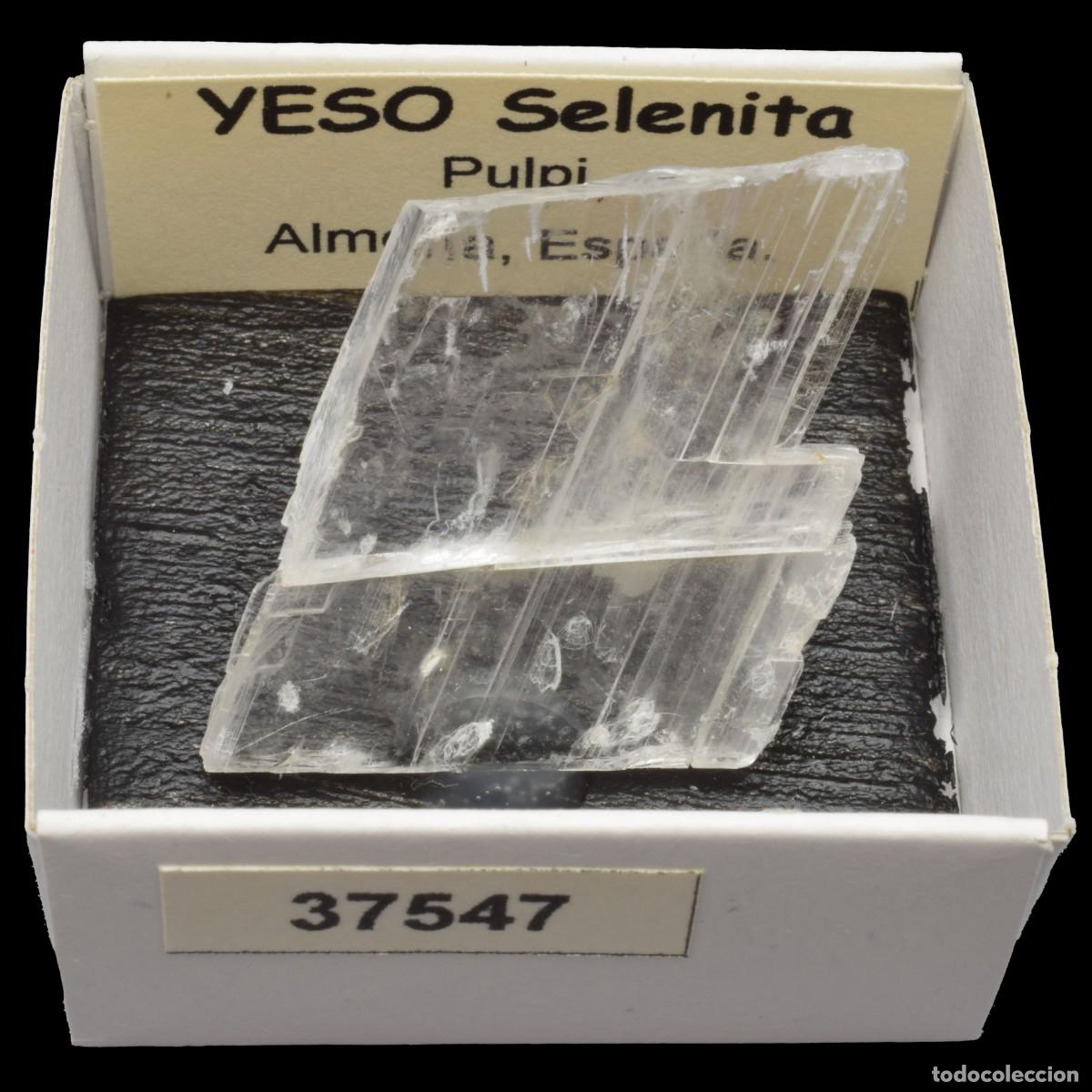 Colecionismo de minerais: YESO Selenita (Pulpi, Almeria, Espa&ntilde;a) #37547