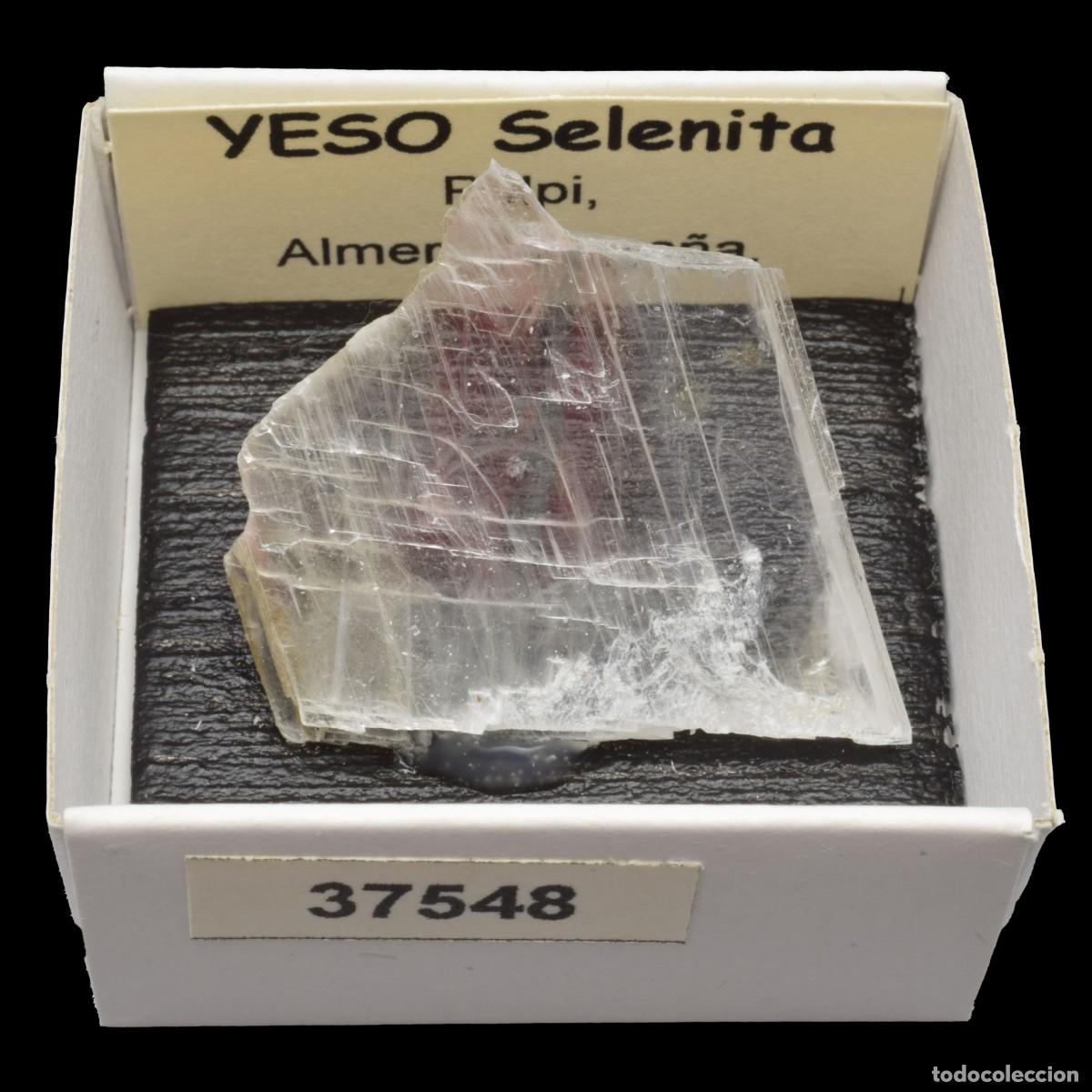 Colecionismo de minerais: YESO Selenita (Pulpi, Almeria, Espa&ntilde;a) #37548