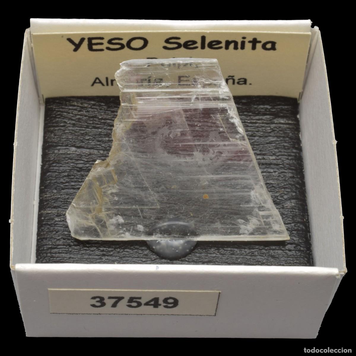 Coleccionismo de minerales: YESO Selenita (Pulpi, Almeria, Espa&ntilde;a) #37549