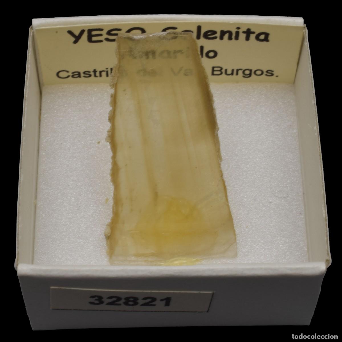 Coleccionismo de minerales: YESO Selenita amarillo (Castrillo del Val, Burgos, Espa&ntilde;a) #32821