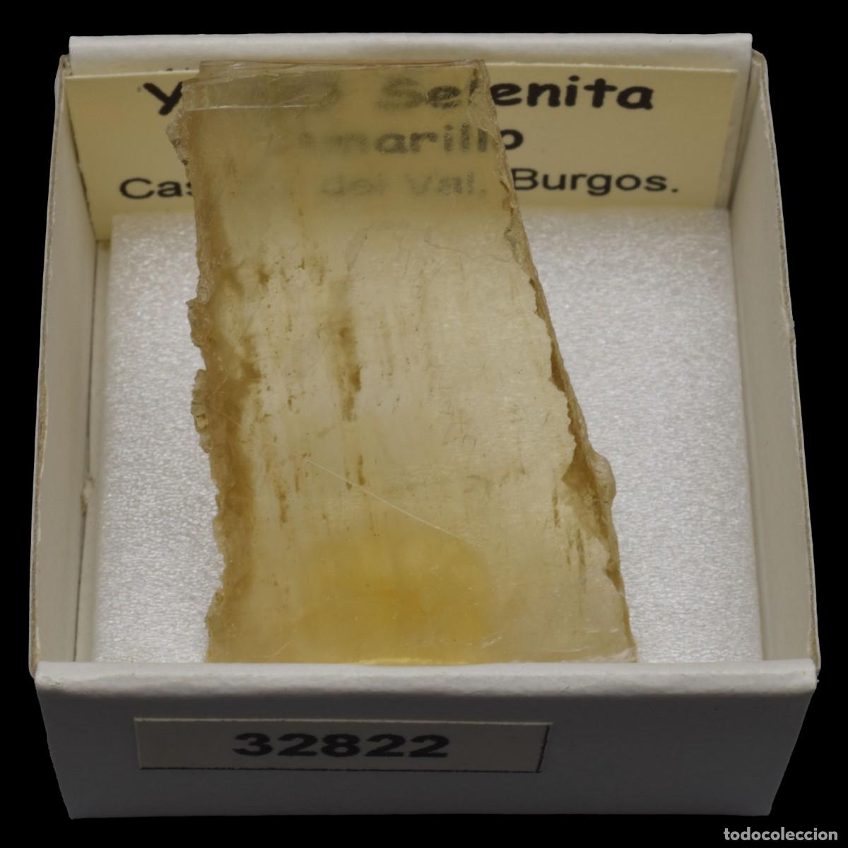 Coleccionismo de minerales: YESO Selenita amarillo (Castrillo del Val, Burgos, Espa&ntilde;a) #32822