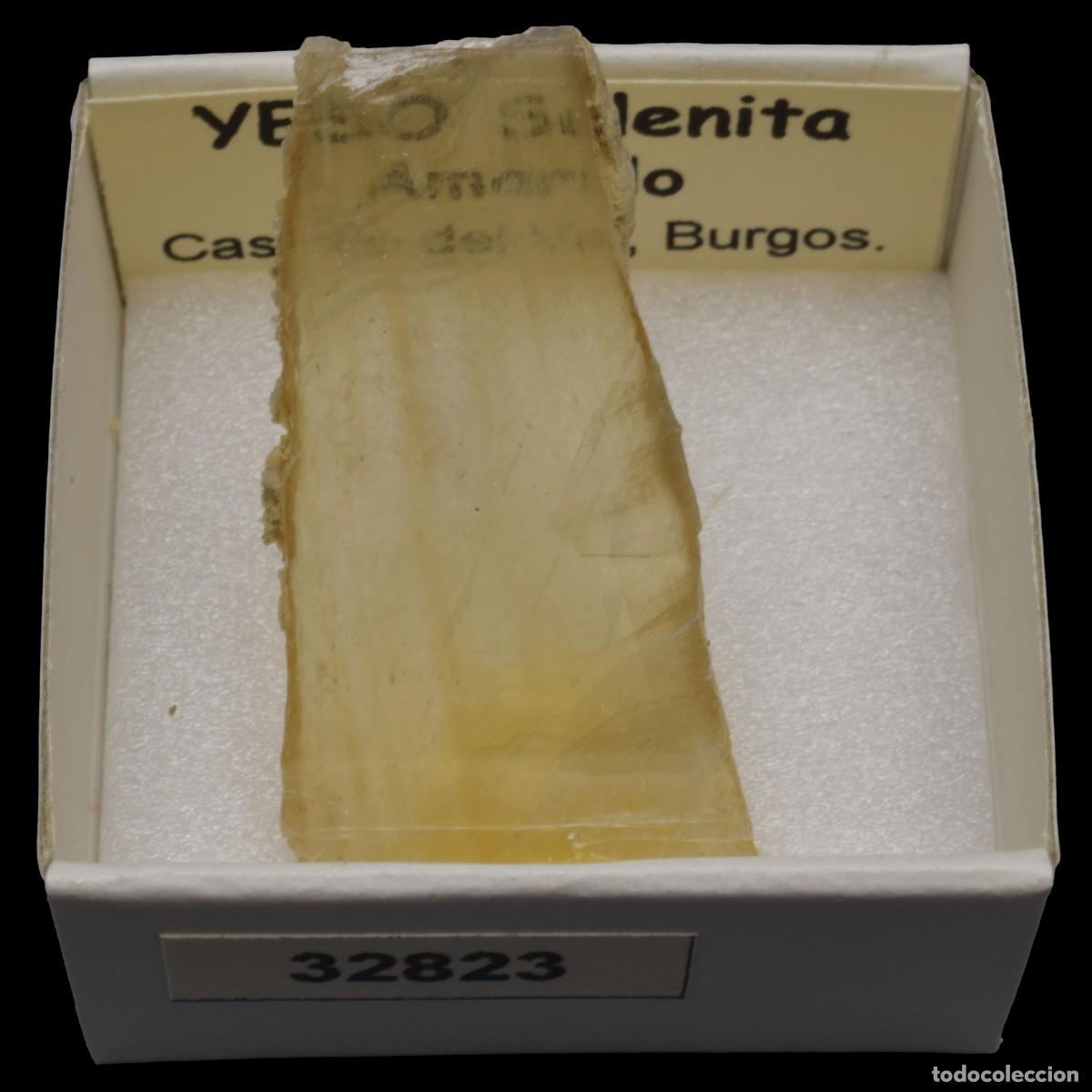 Sammlung von Mineralien: YESO Selenita amarillo (Castrillo del Val, Burgos, Espa&ntilde;a) #32823