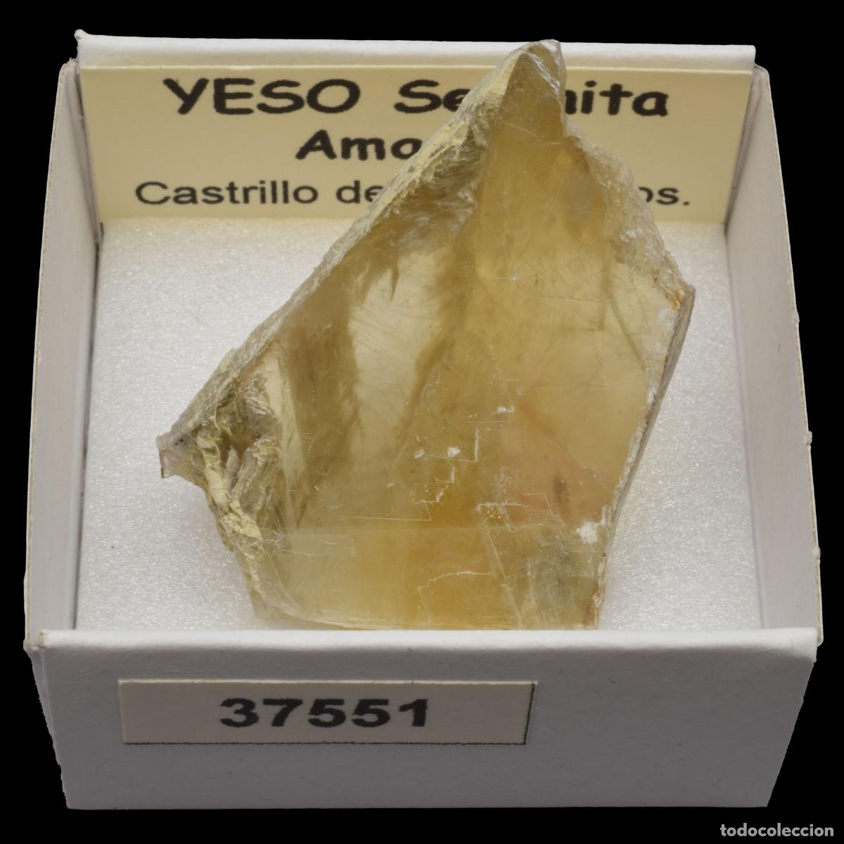 Sammlung von Mineralien: YESO Selenita amarillo (Castrillo del Val, Burgos, Espa&ntilde;a) #37551