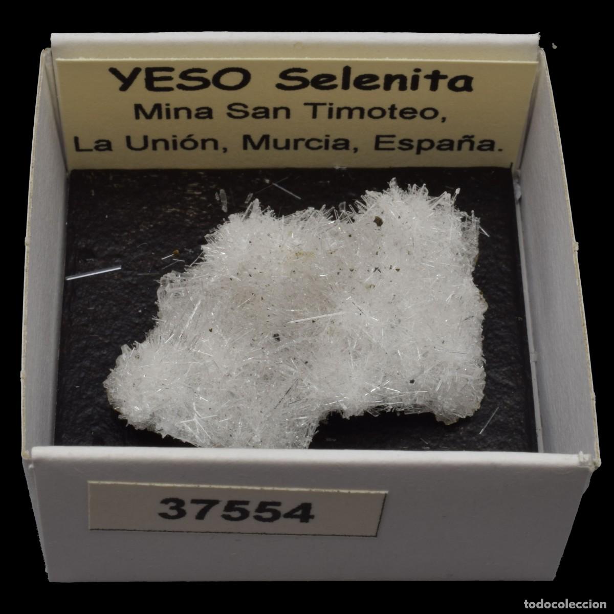 Coleccionismo de minerales: YESO Selenita xx (Mina San Timoteo, Pico del Aguila, Cartagena, Murcia, Espa&ntilde;a) #37554
