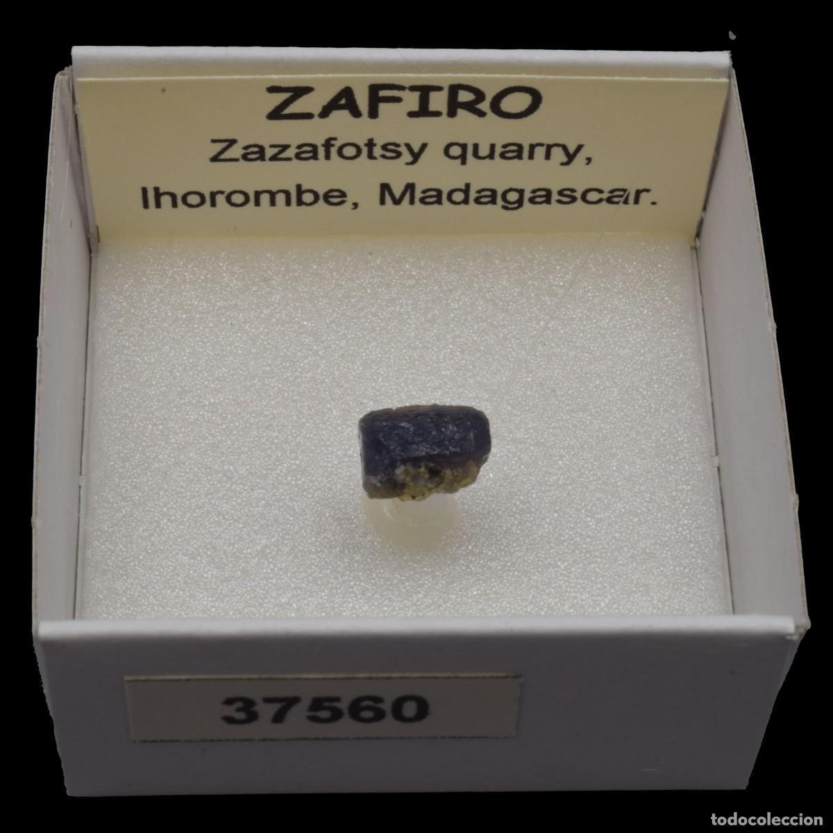 Coleccionismo de minerales: ZAFIRO (Zazafotsy quarry, Ihorombe, Madagascar) #37560