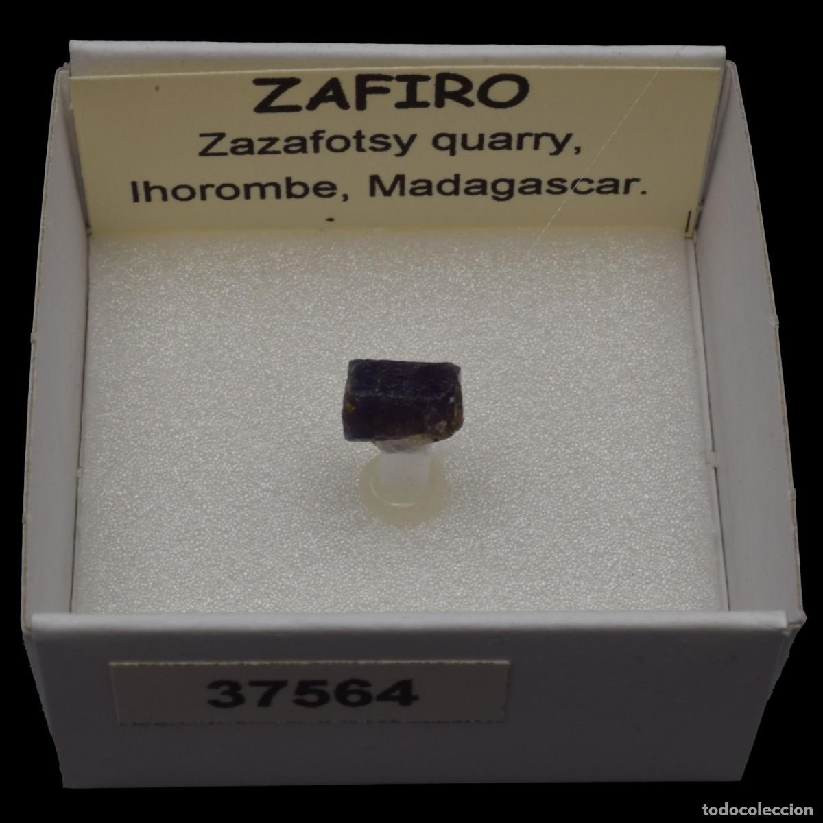 Coleccionismo de minerales: ZAFIRO (Zazafotsy quarry, Ihorombe, Madagascar) #37564