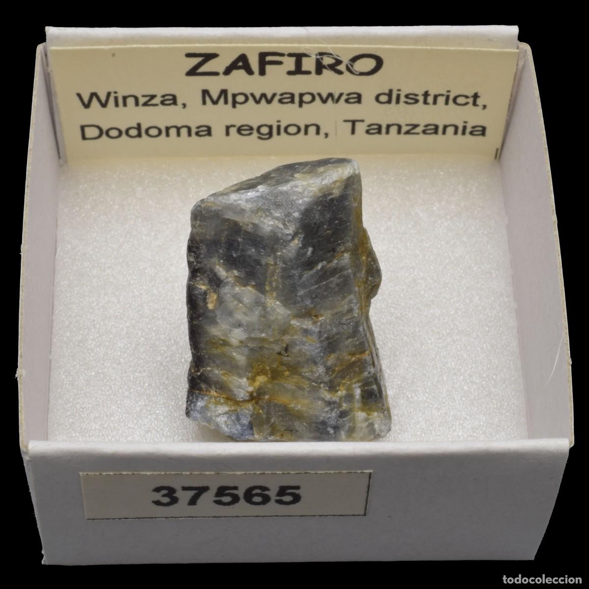 Coleccionismo de minerales: ZAFIRO (Winza, Mpwapwa district, Dodoma region, Tanzania) #37565