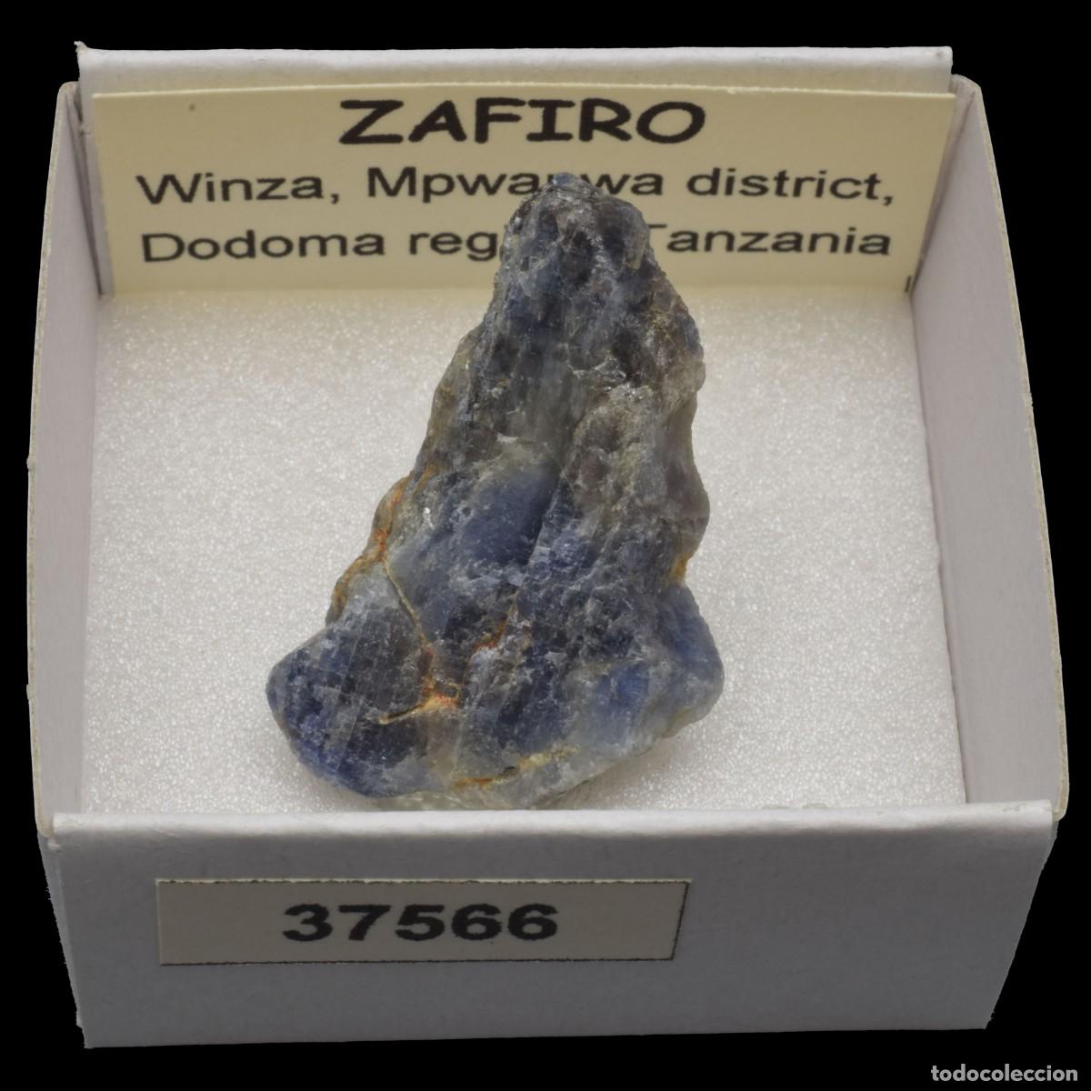 Coleccionismo de minerales: ZAFIRO (Winza, Mpwapwa district, Dodoma region, Tanzania) #37566