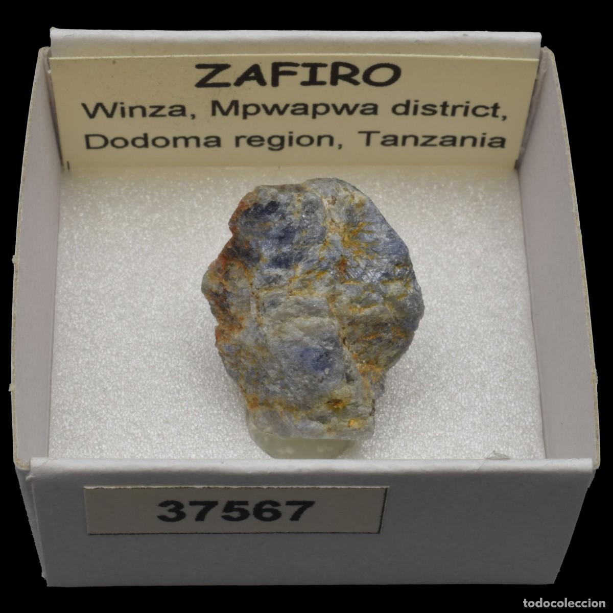 Coleccionismo de minerales: ZAFIRO (Winza, Mpwapwa district, Dodoma region, Tanzania) #37567
