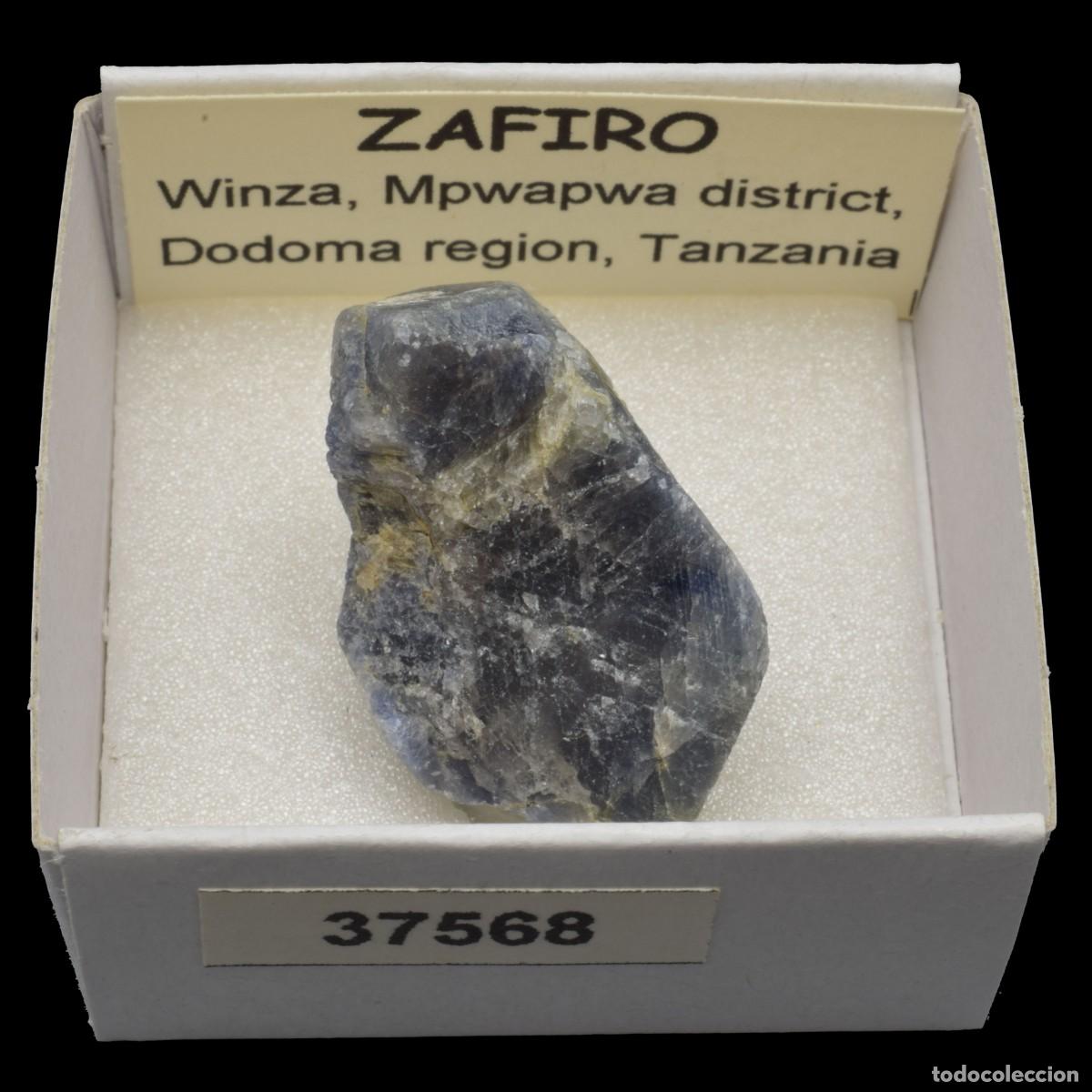 Coleccionismo de minerales: ZAFIRO (Winza, Mpwapwa district, Dodoma region, Tanzania) #37568