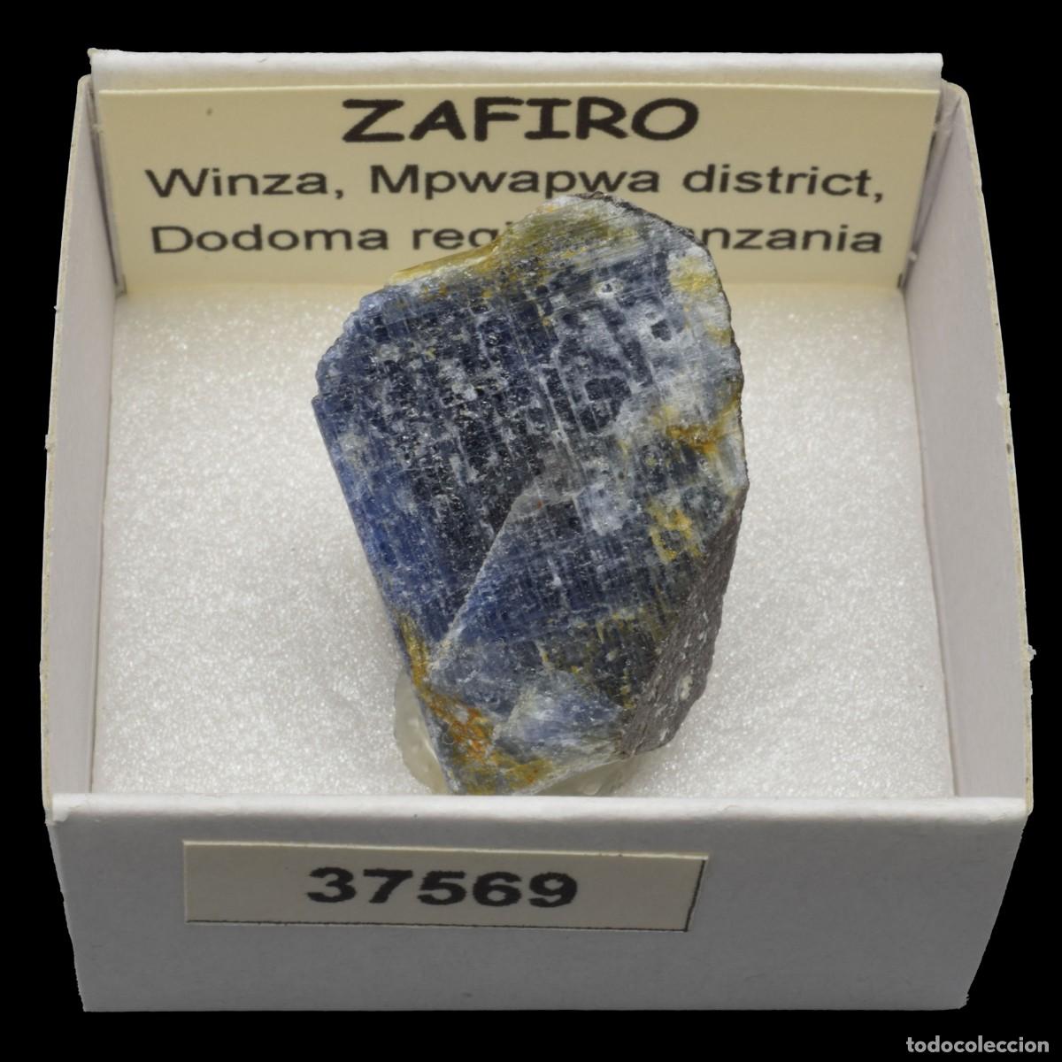 Coleccionismo de minerales: ZAFIRO (Winza, Mpwapwa district, Dodoma region, Tanzania) #37569