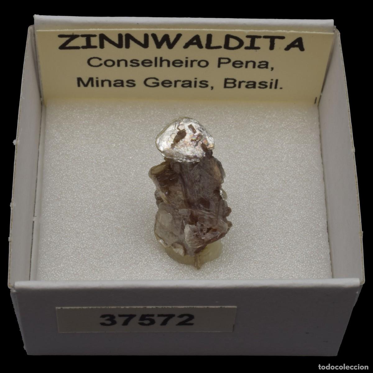 Coleccionismo de minerales: ZINNWALDITA (Conselheiro Pena, Minas Gerais, Brasil) #37572