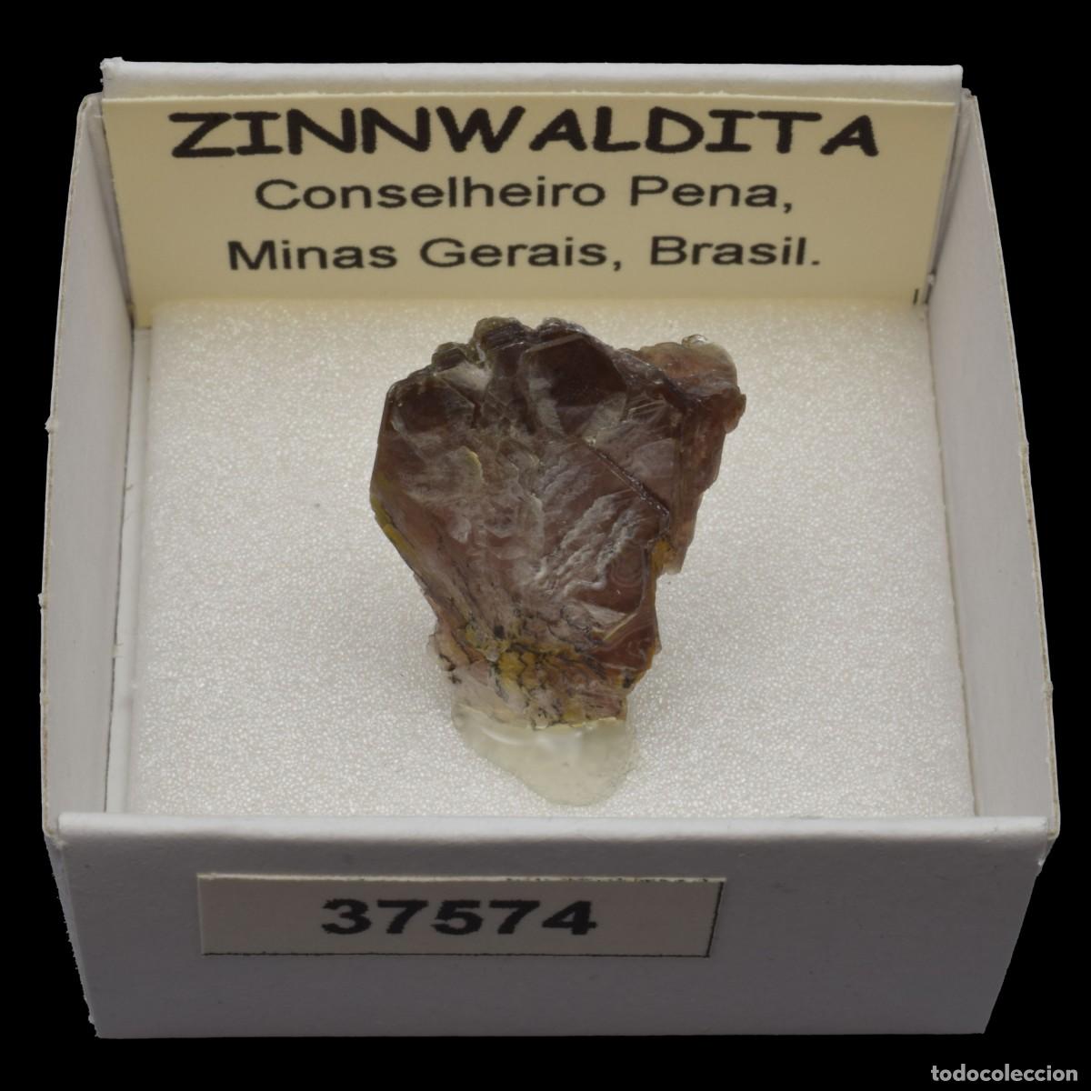 Coleccionismo de minerales: ZINNWALDITA (Conselheiro Pena, Minas Gerais, Brasil) #37574