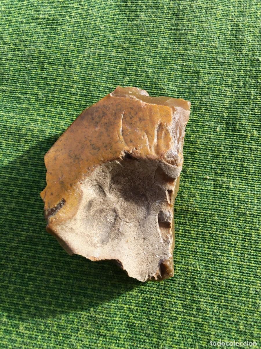Coleccionismo de minerales: Peque&ntilde;o fragmento de s&iacute;lex o chert, decorativo.