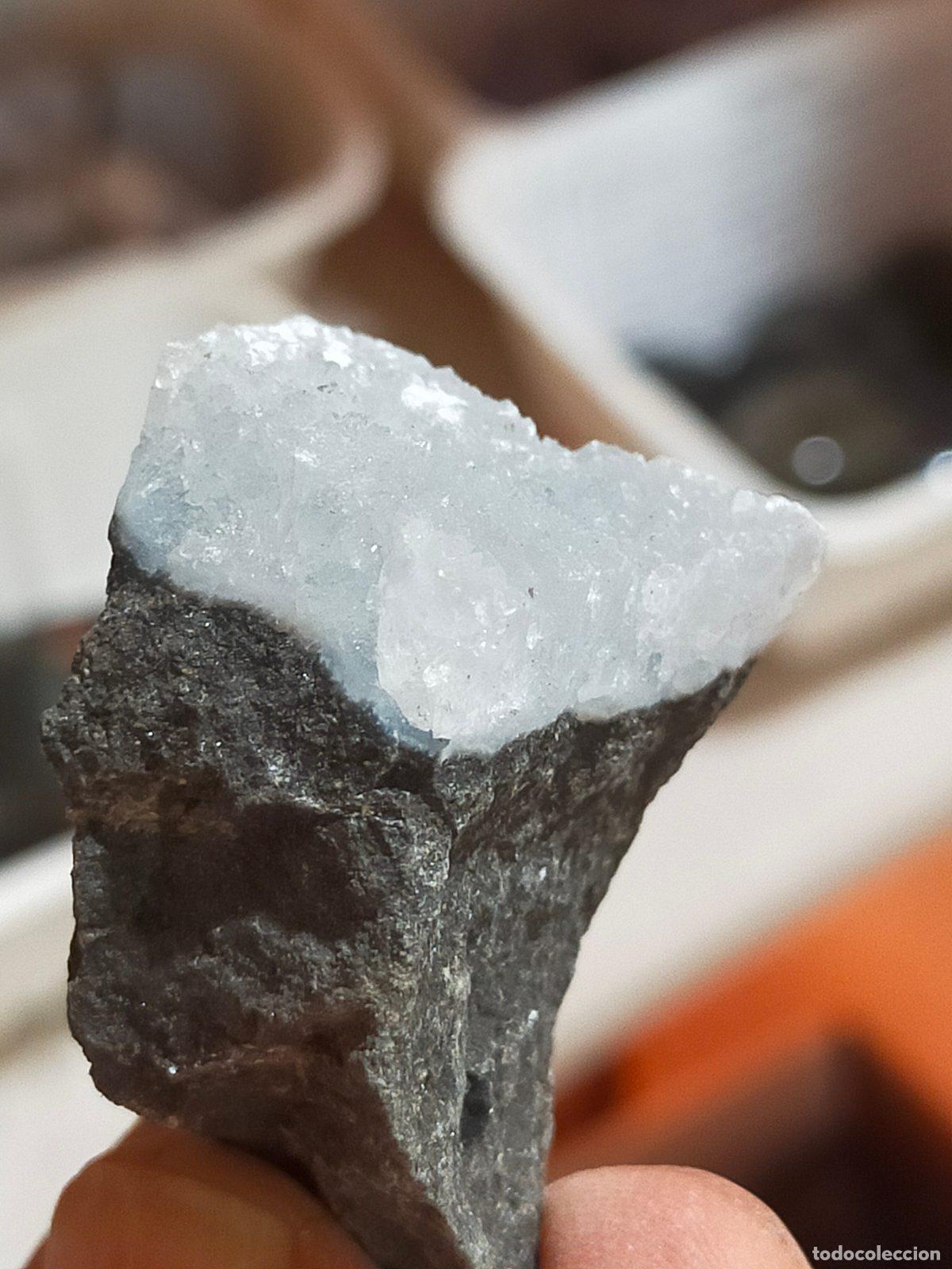 Coleccionismo de minerales: Quarzo Naturale Bianco e Grigio Scuro - Cristallo da Salotto per Cristalloterapia