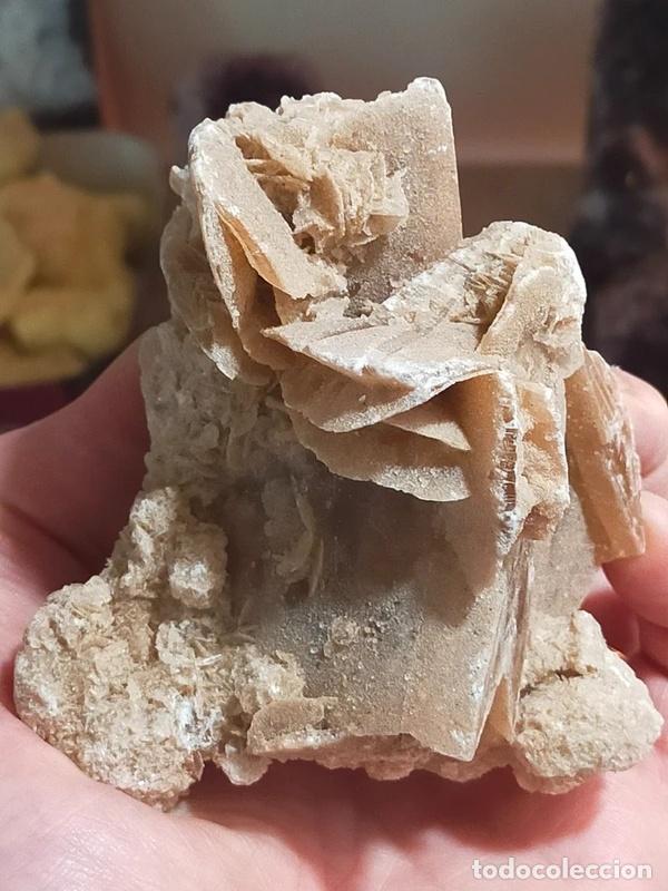 Coleccionismo de minerales: Vera Rosa del Deserto algerina - 209 g, dimensioni 8x8x6 cm