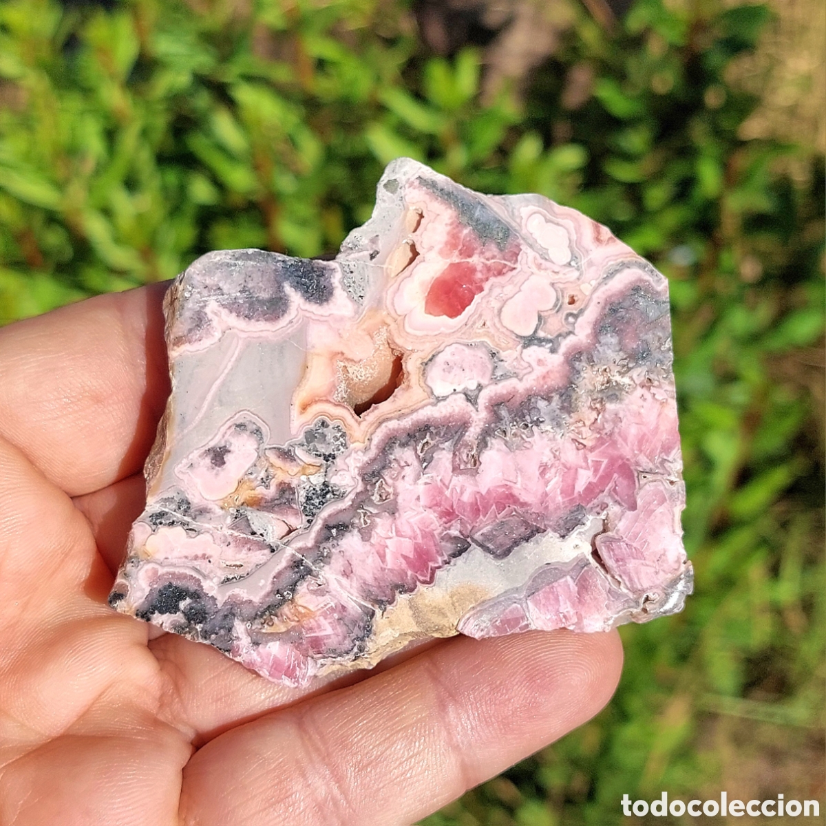 Coleccionismo de minerales: Rodocrosita Rodaja de Argentina