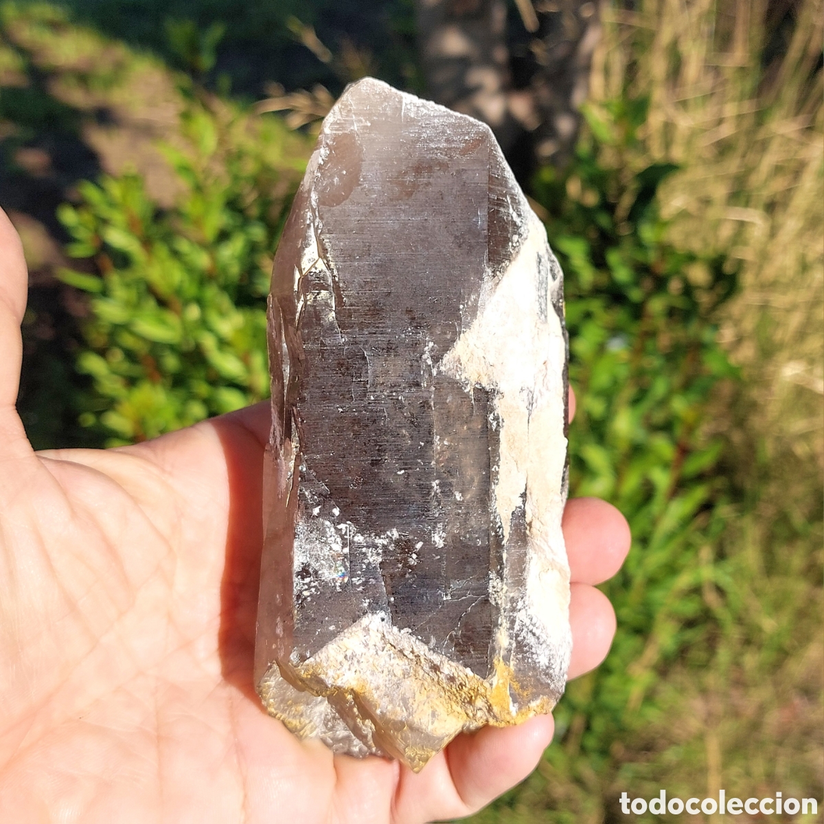Coleccionismo de minerales: Cuarzo Ahumado Grande en Bruto - Foto 4