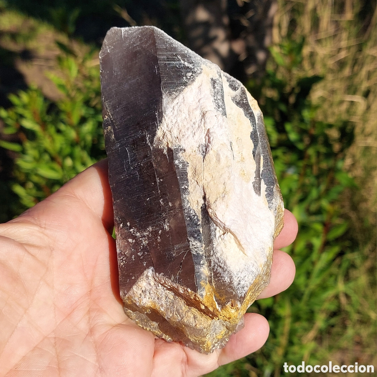 Coleccionismo de minerales: Cuarzo Ahumado Grande en Bruto - Foto 8