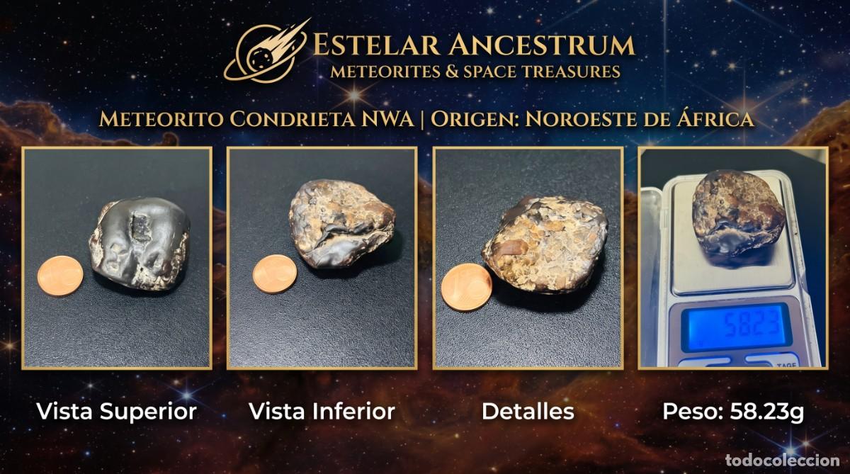 Coleccionismo de minerales: Meteorito Condrita Aut&eacute;ntico NWA (58.23g) &ndash; Fragmento Original del Sistema Solar