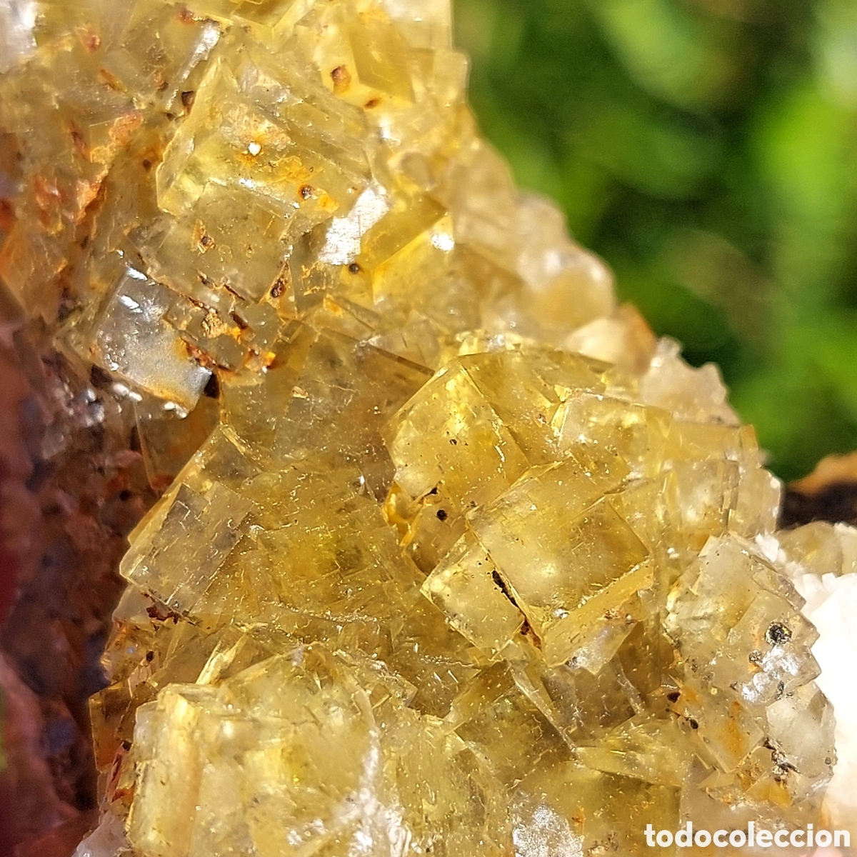 Coleccionismo de minerales: Magn&iacute;fica Fluorita de Asturias