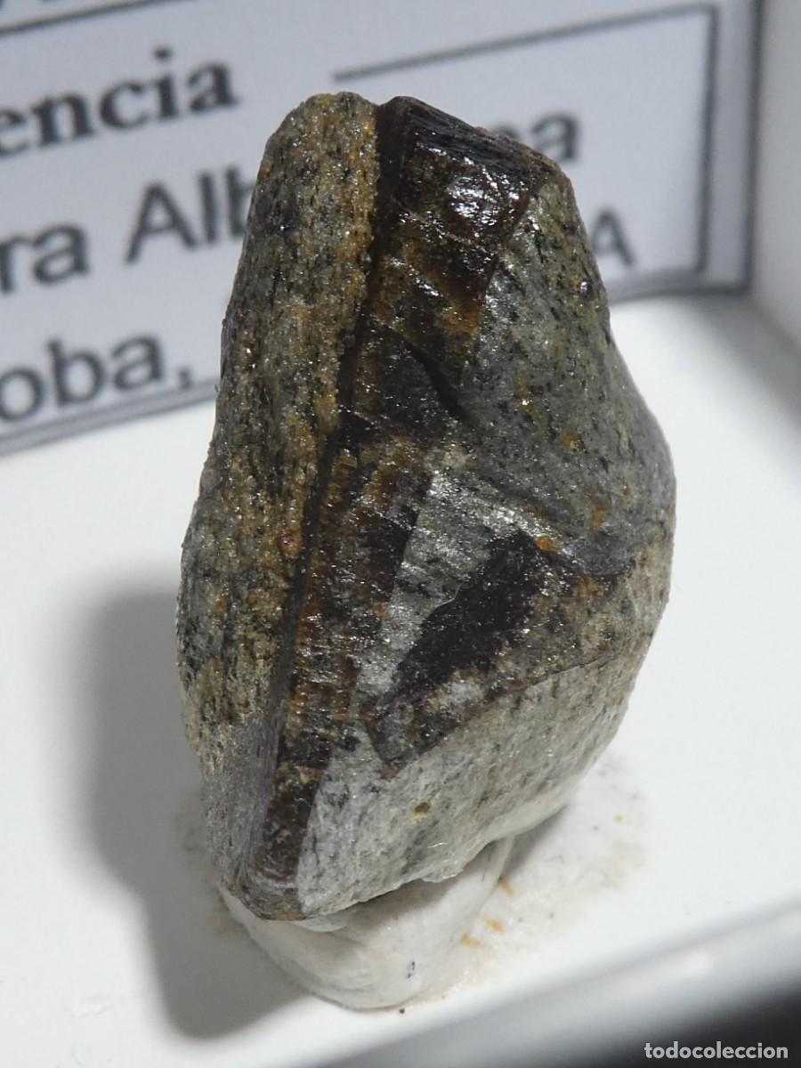 Collezionismo di minerali: (215) ESTAUROLITA, SIERRA ALBARRANA, CORDOBA.