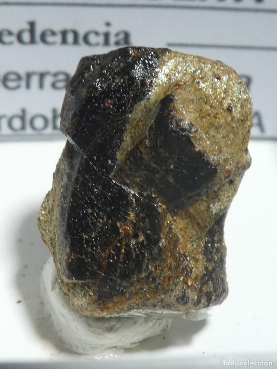 Collezionismo di minerali: (218) ESTAUROLITA, SIERRA ALBARRANA, CORDOBA.
