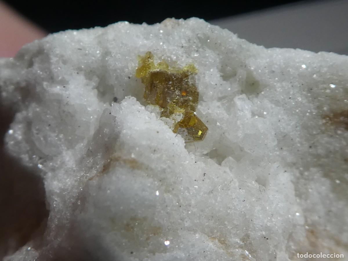 Collezionismo di minerali: (240) ESFALERITA, BINNTAL, SUIZA.