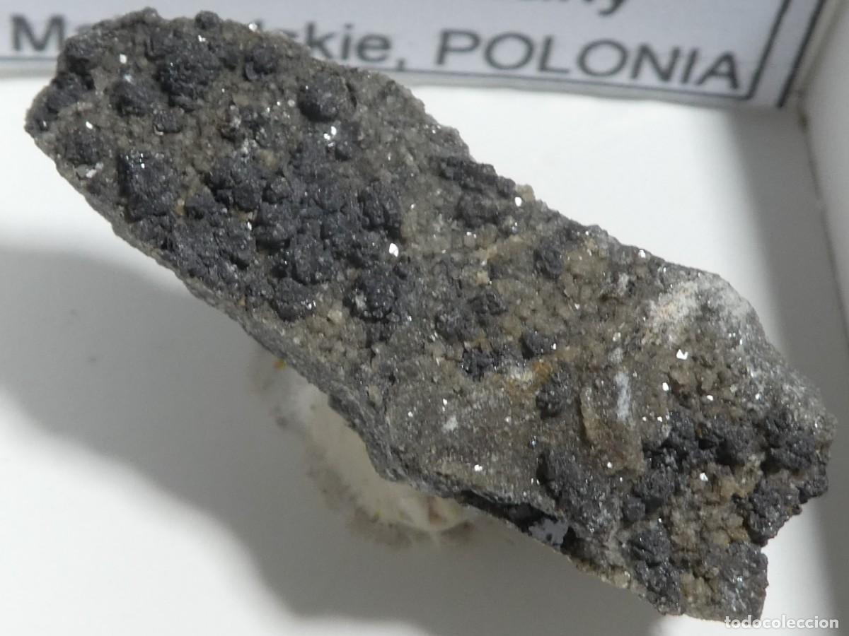 Collezionismo di minerali: (248) GALENA, MALOPOLSKIE, POLONIA.